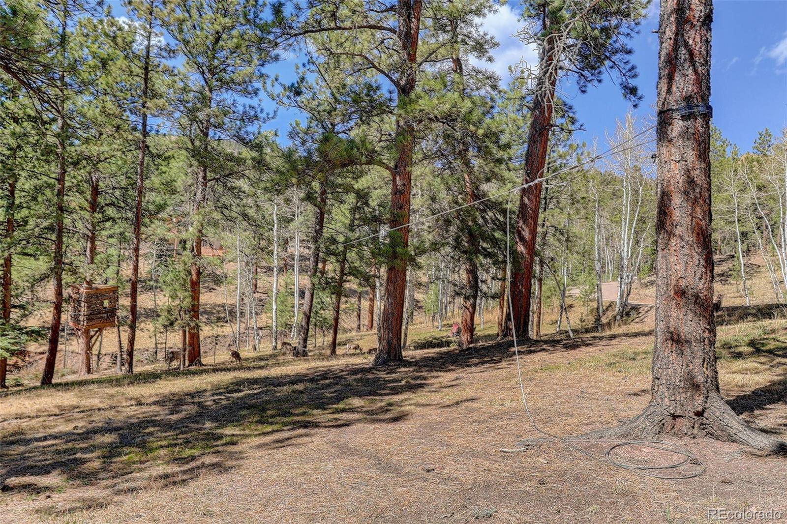 34144 Rock Creek Road Pine, CO 80470 - Photo 49 of 50