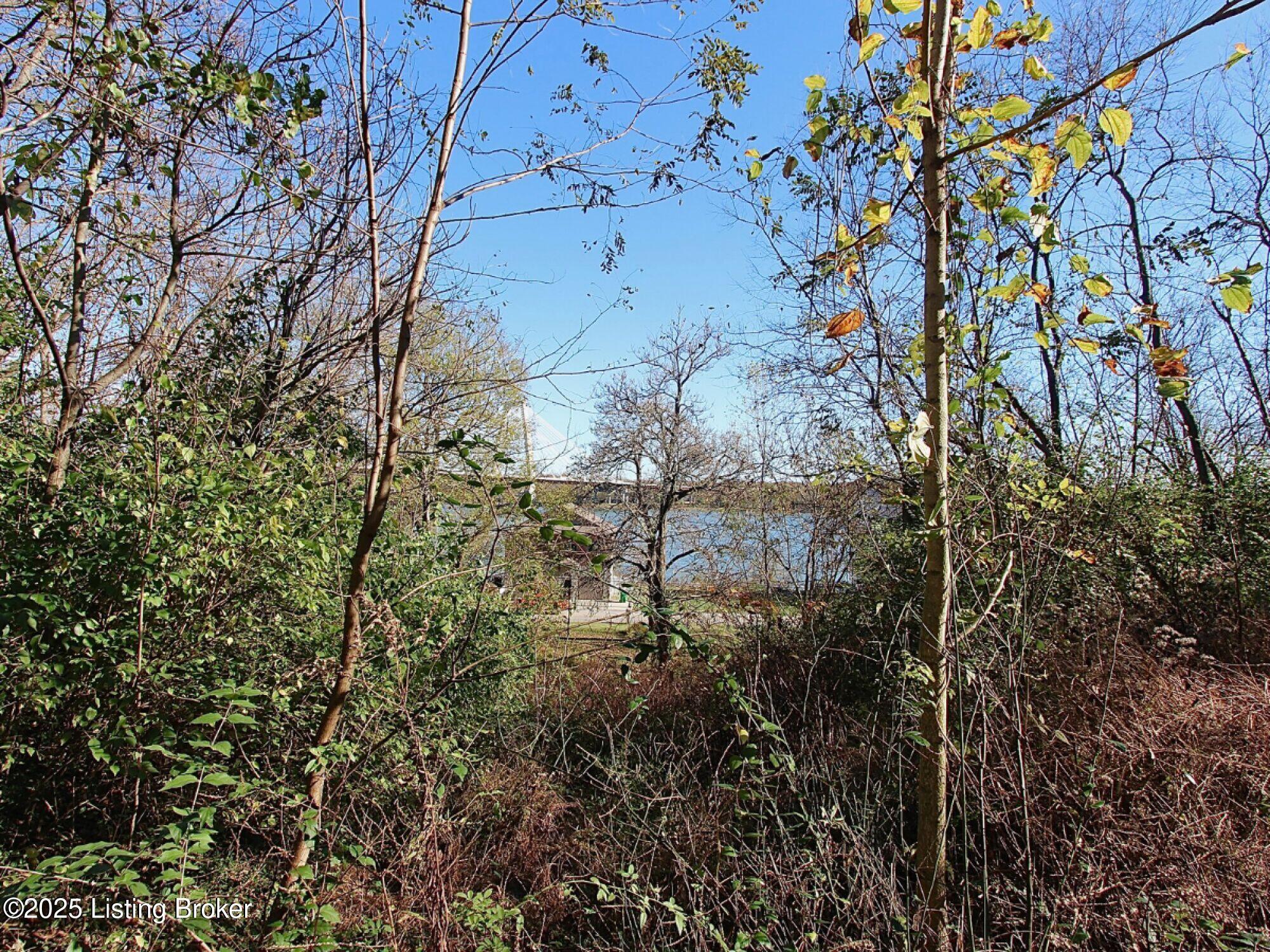 0 Upper River Road Jeffersonville, IN 47130 - Photo 23 of 50 23