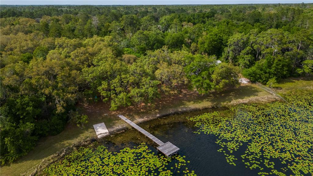 22645 Northeast 105th Avenue Road Fort McCoy, FL 32134 - Photo 25 of 27 an aerial view of a house with a yard