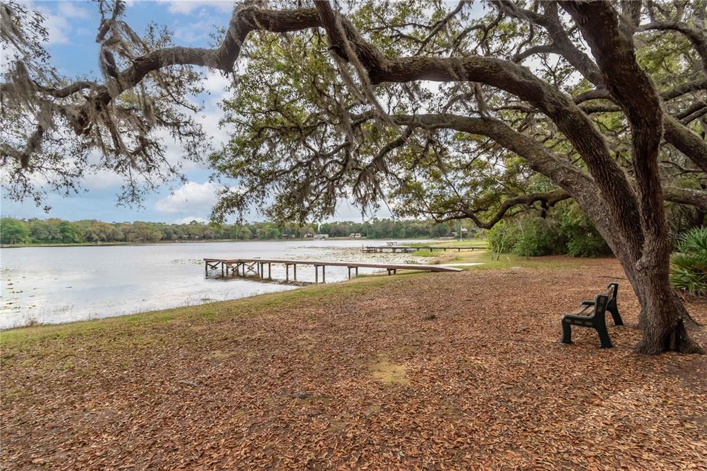 22645 Northeast 105th Avenue Road Fort McCoy, FL 32134 - Photo 4 of 27 a view of a yard with an trees