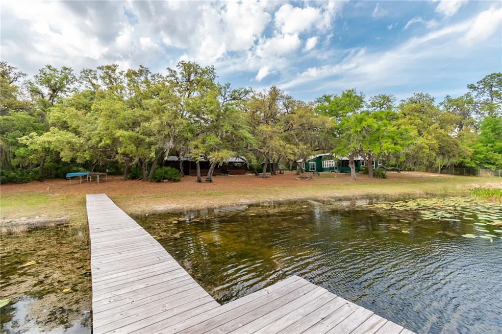 22645 Northeast 105th Avenue Road Fort McCoy, FL 32134 - Photo 6 of 27