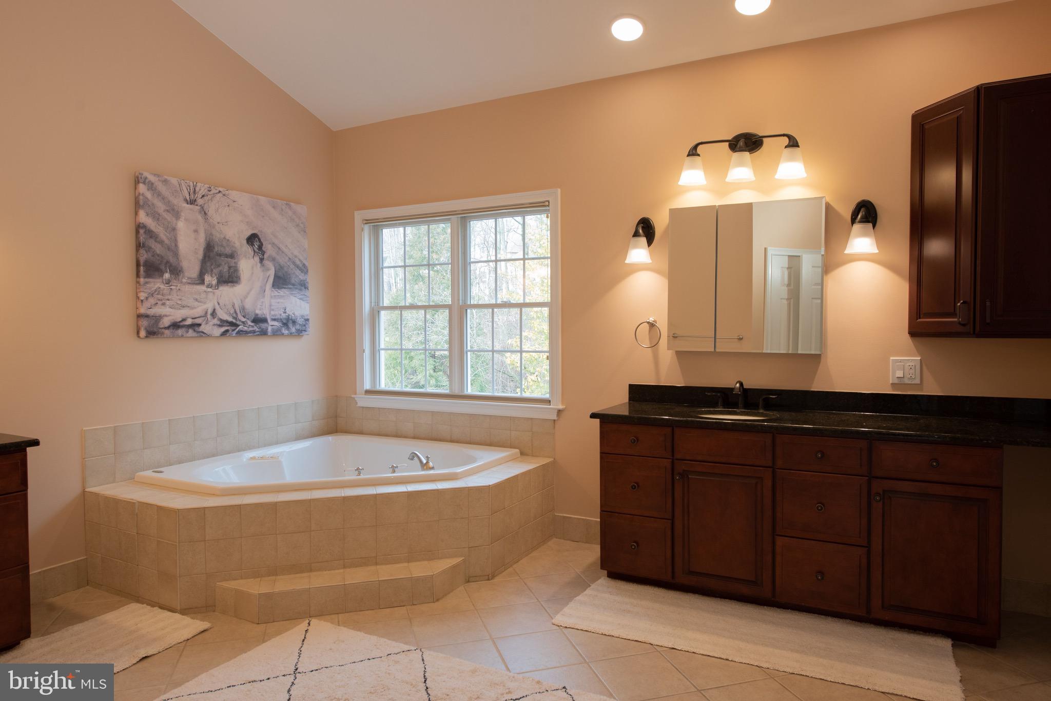 3450 Woodward Road Huntingdon Valley, PA 19006 - Photo 45 of 54 a spacious bathroom with a tub sink and mirror