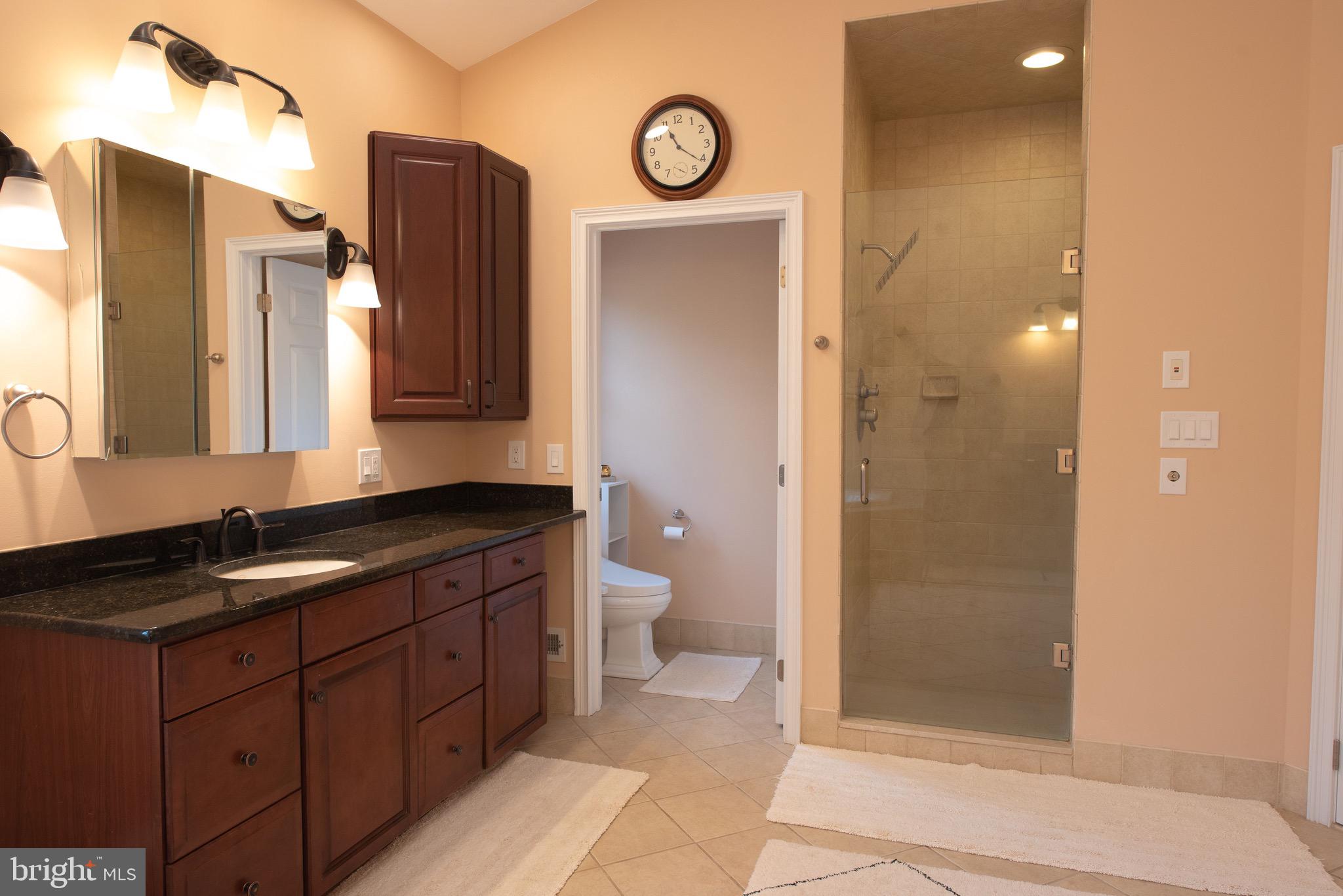 3450 Woodward Road Huntingdon Valley, PA 19006 - Photo 47 of 54 a bathroom with a granite countertop sink toilet and shower