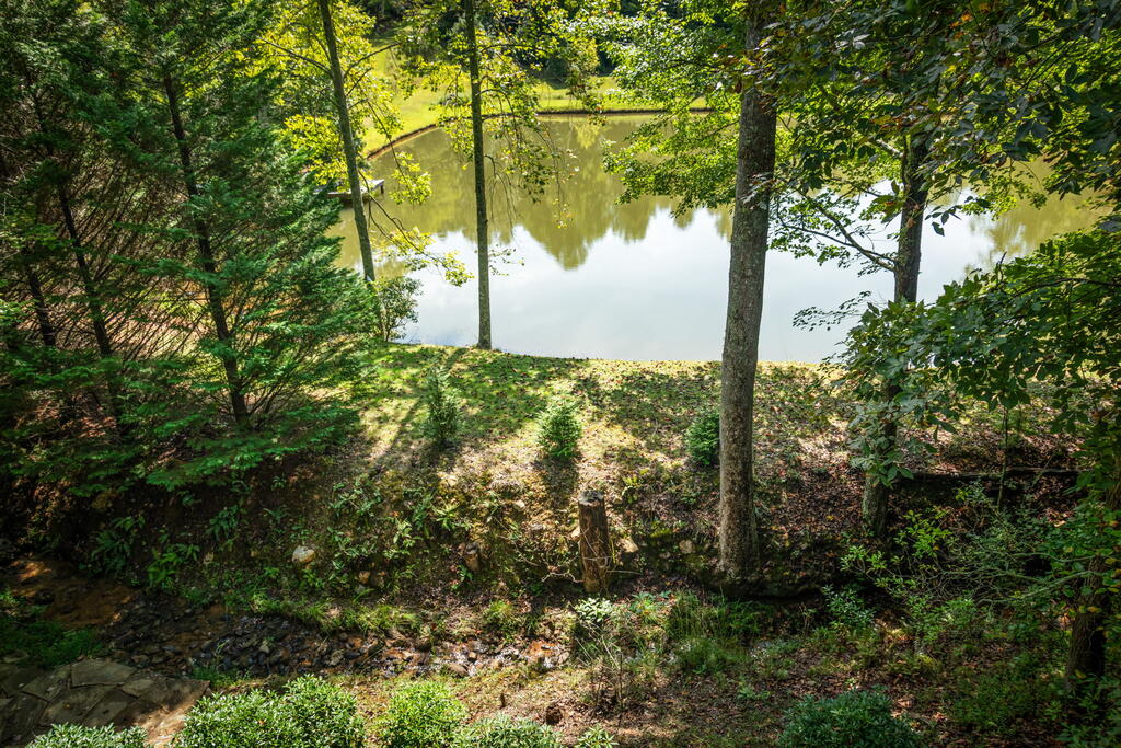 35 Wunder Bear Ridge Morganton, GA 30560 - Photo 109 of 123 Gallery Image 109