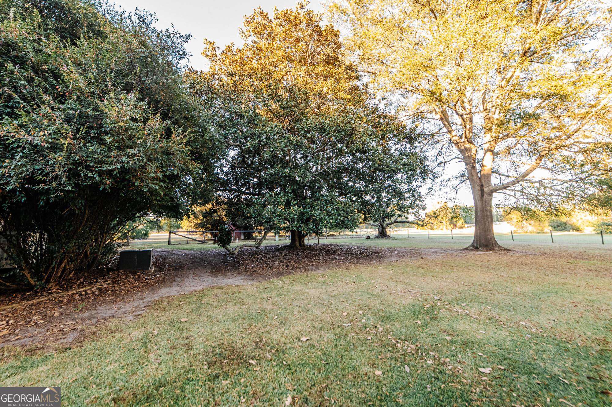 200 Felton Road Perry, GA 31069 - Photo 96 of 128 a view of a tree in the middle of a yard