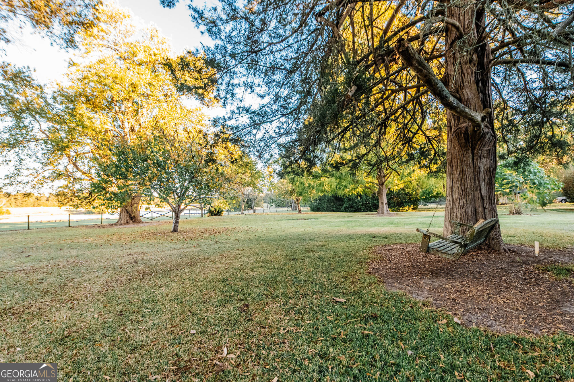 200 Felton Road Perry, GA 31069 - Photo 97 of 128 a view of a tree in the middle of a yard