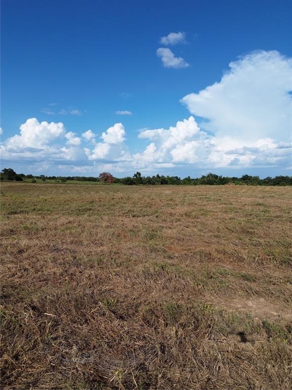 0 Grant Prairie Road, Unit 2 Franklin, TX 77856 - Photo 3 of 6 Gallery Image 3