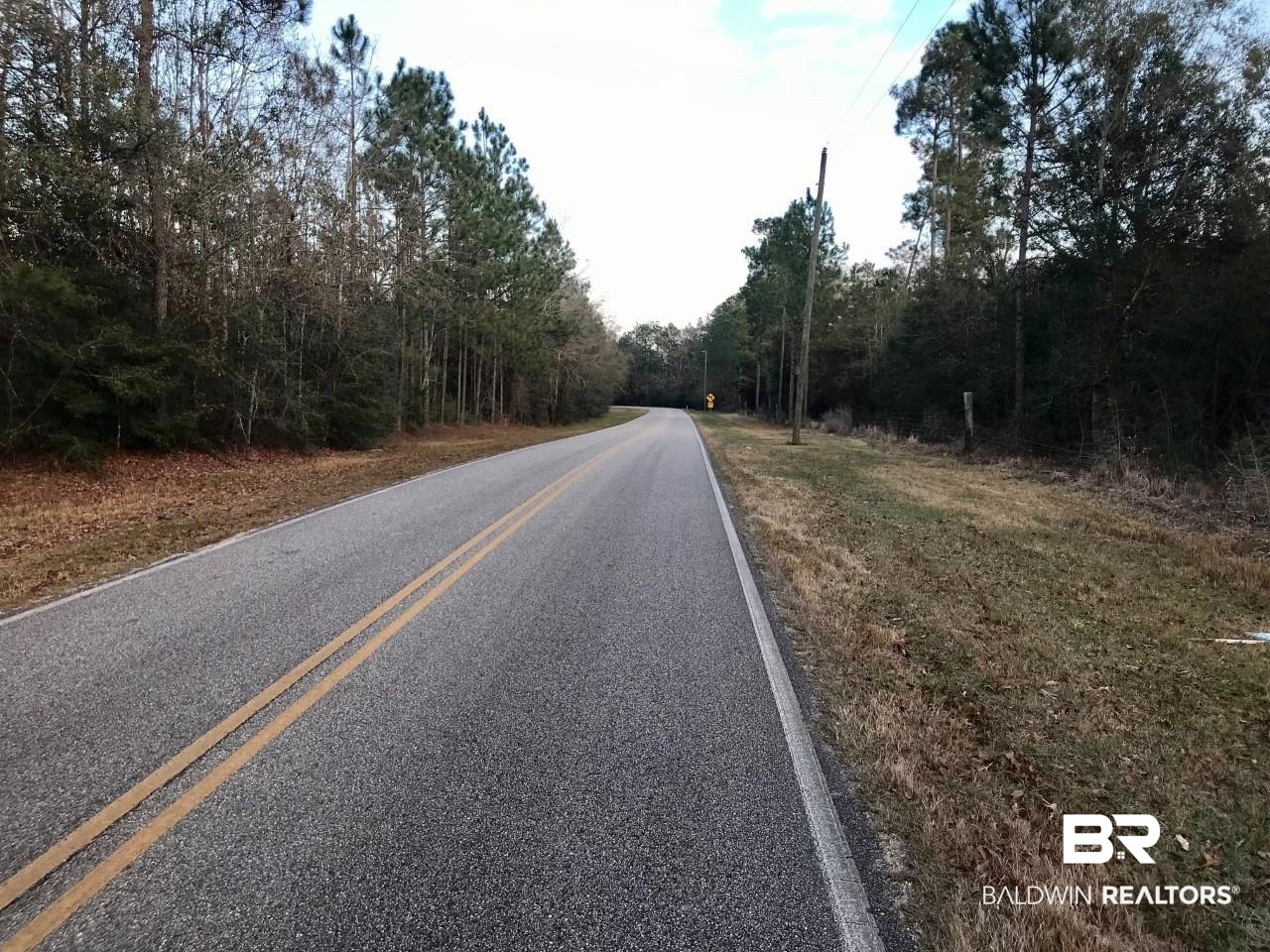 2 Modelle Bryars Road Perdido, AL 36562 - Photo 3 of 3 East View