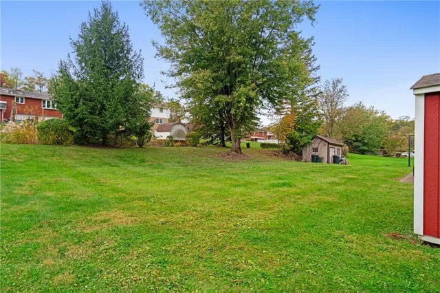 a green field with lots of trees in it