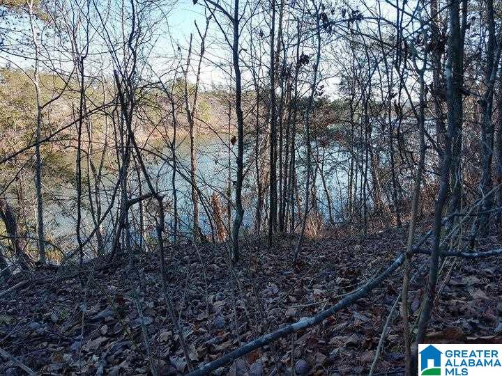 Franklin Ferry Road, Unit 17 Oakman, AL 35579 - Photo 12 of 22