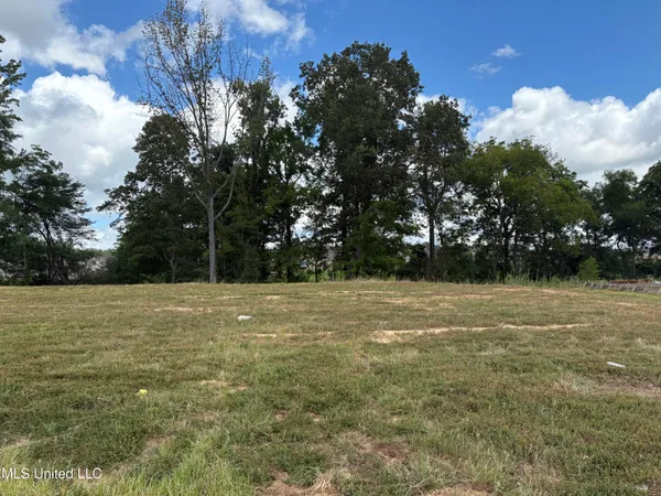 $94,900 | John Thomas Cove, Hernando, MS 38632