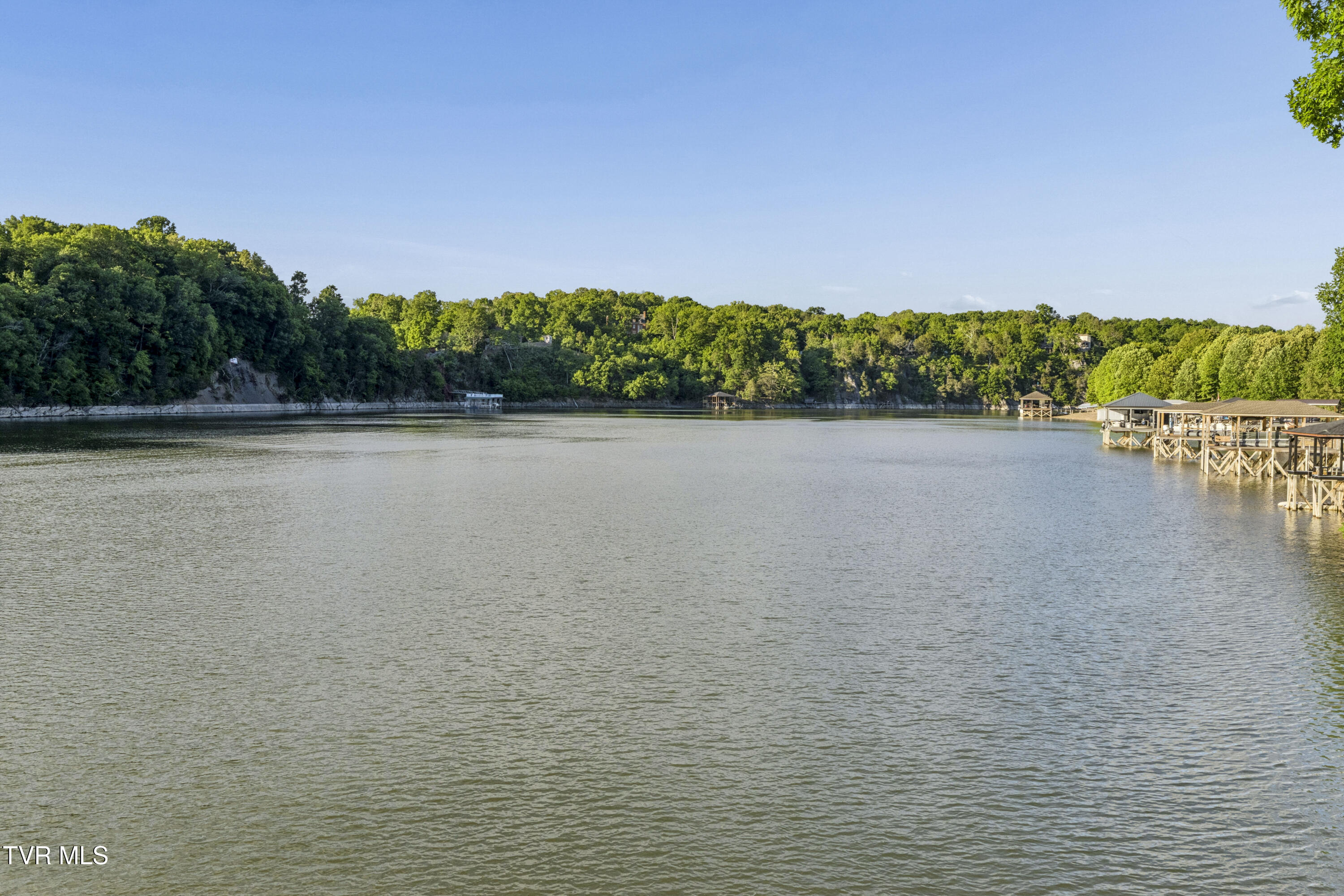 405 Harbor Approach Johnson City, TN 37601 - Photo 21 of 117 Harbor-4954