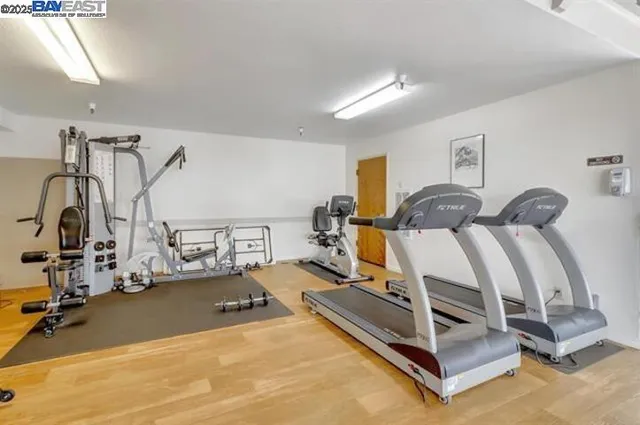 a view of a swimming pool with a garden