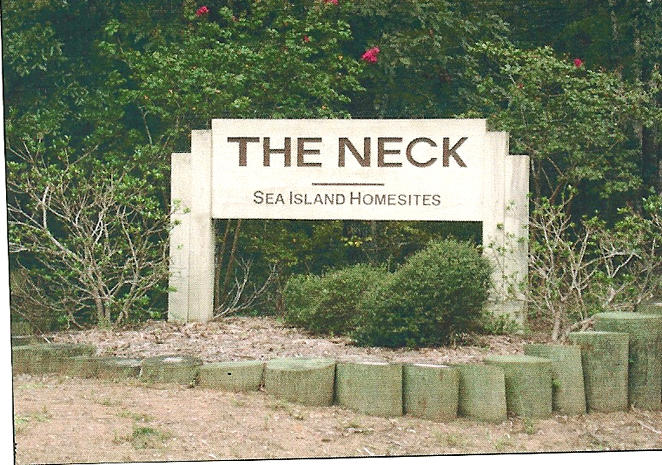 32 Palmetto Road Edisto Island, SC 29438 - Photo 9 of 9 The Neck