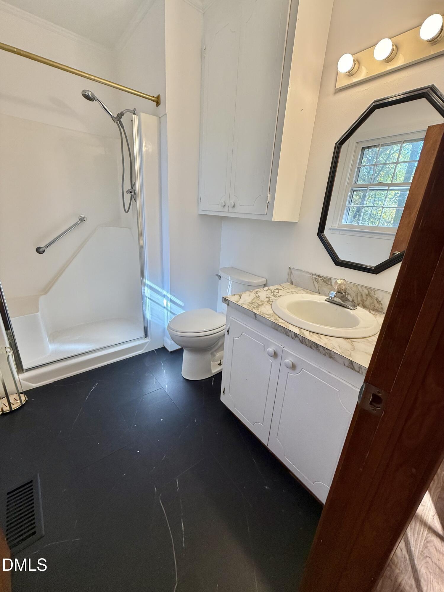 2320 Poindexter Road Hurdle Mills, NC 27541 - Photo 22 of 57 a bathroom with a sink a toilet and a mirror
