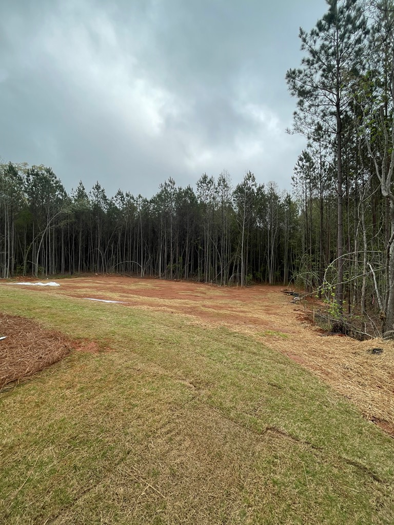 724 Mann Road Shiloh, GA 31826 - Photo 8 of 18 Gallery Image 8