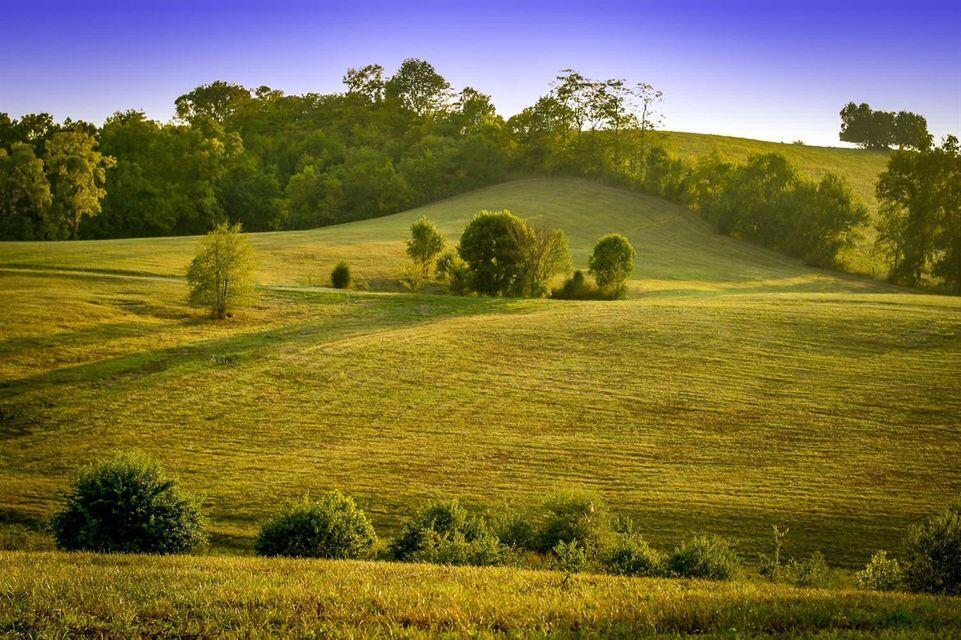 0 Deer Chase Road Danville, KY 40422 - Photo 6 of 21 pic 6