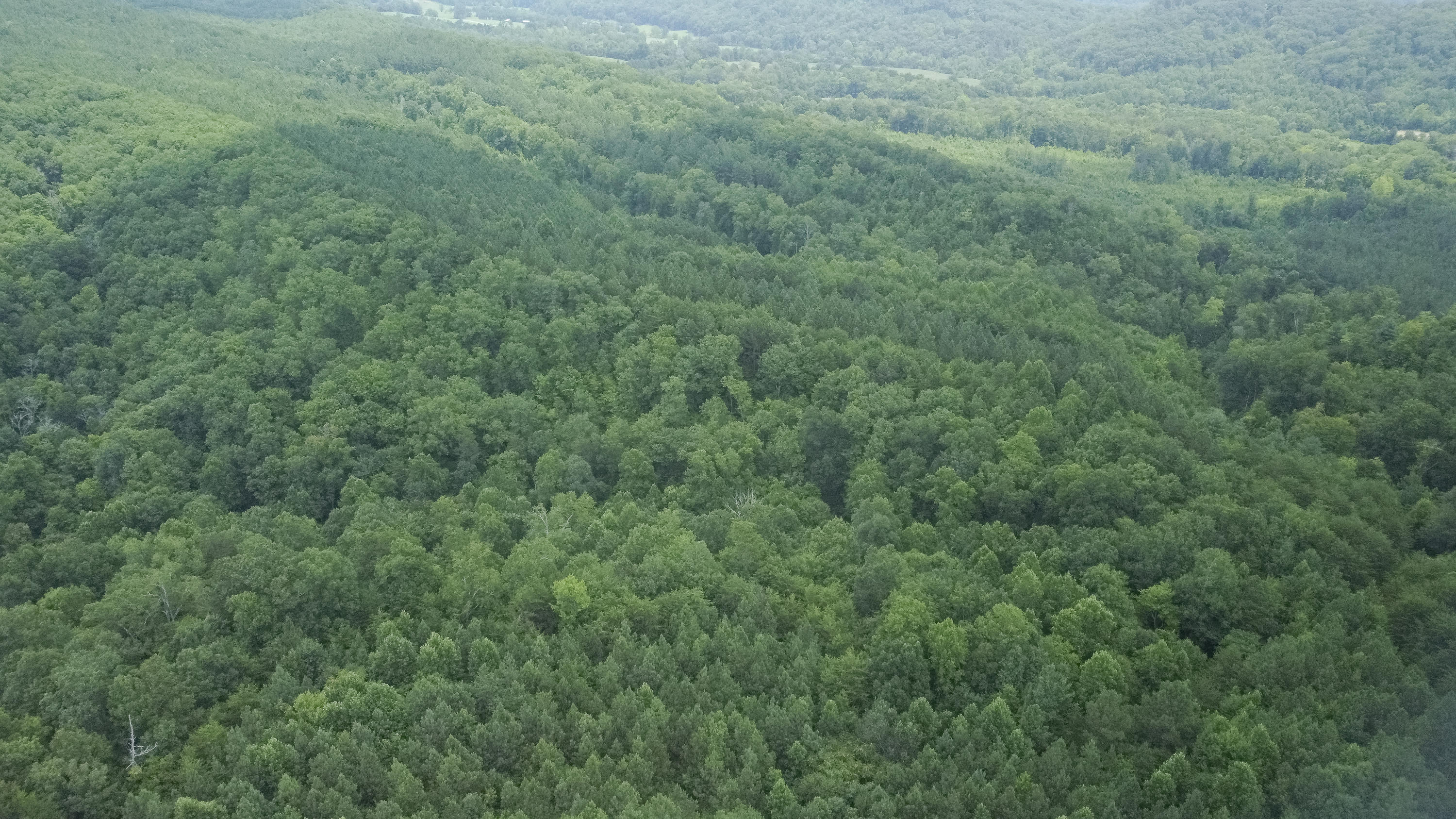 Ten Mile Tn 37880 Road Ten Mile, TN 37880 - Photo 1 of 26 DJI_0313