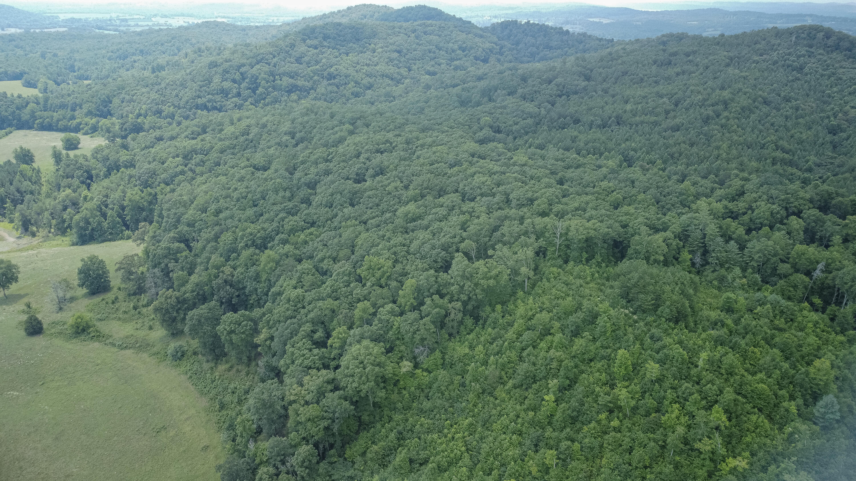 Ten Mile Tn 37880 Road Ten Mile, TN 37880 - Photo 11 of 26 DJI_0324