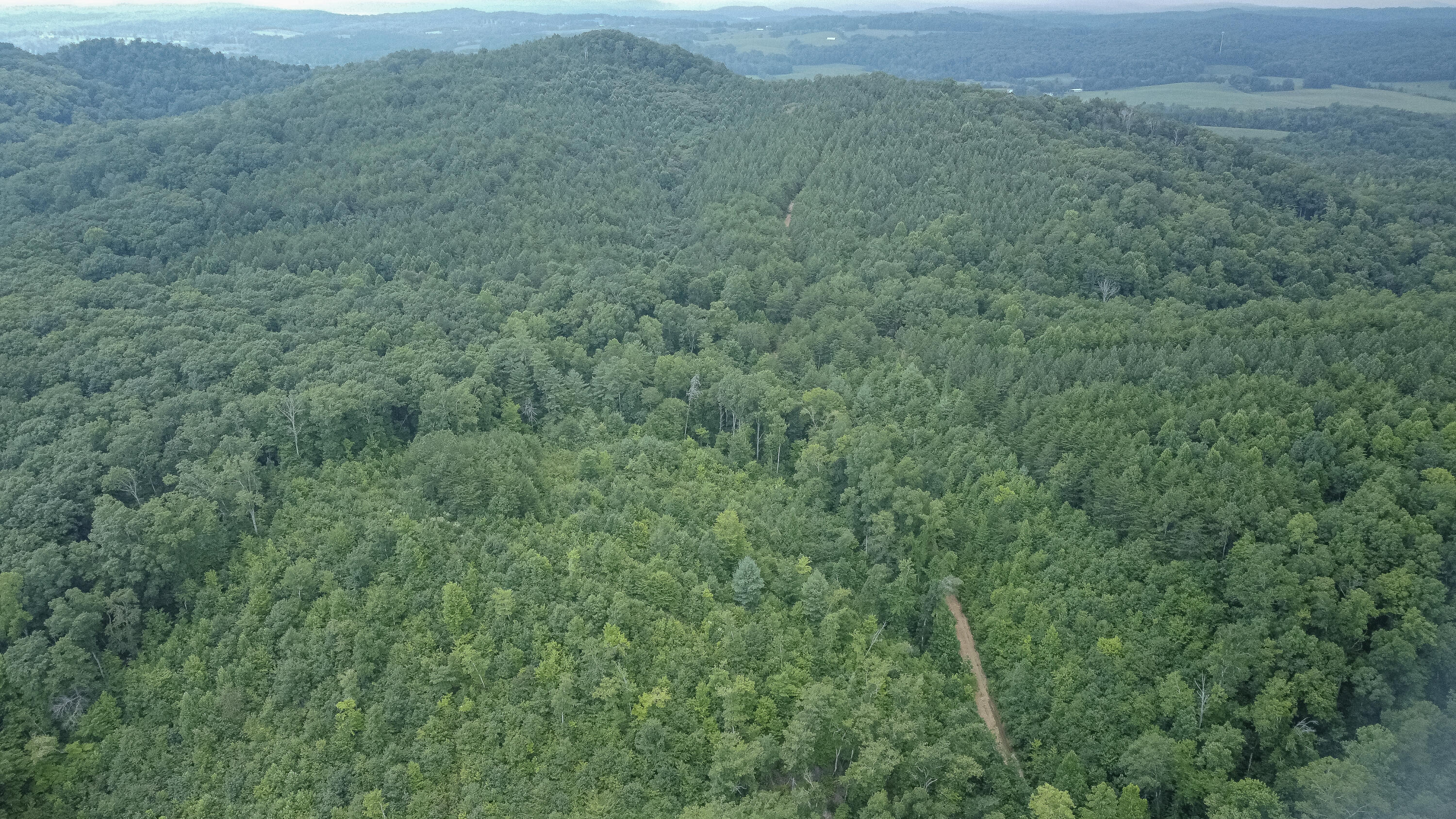 Ten Mile Tn 37880 Road Ten Mile, TN 37880 - Photo 12 of 26 DJI_0325