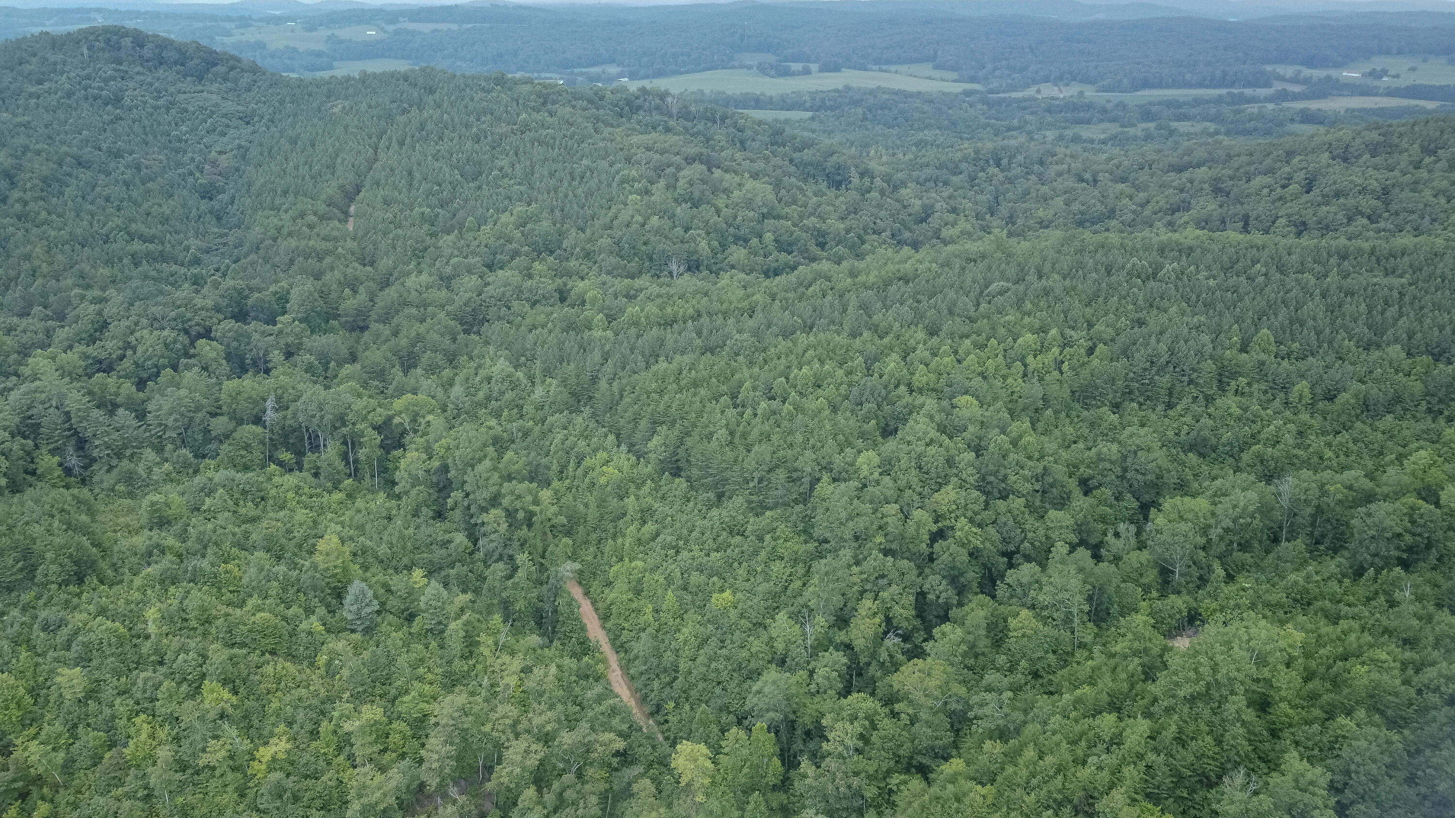 Ten Mile Tn 37880 Road Ten Mile, TN 37880 - Photo 13 of 26 DJI_0326