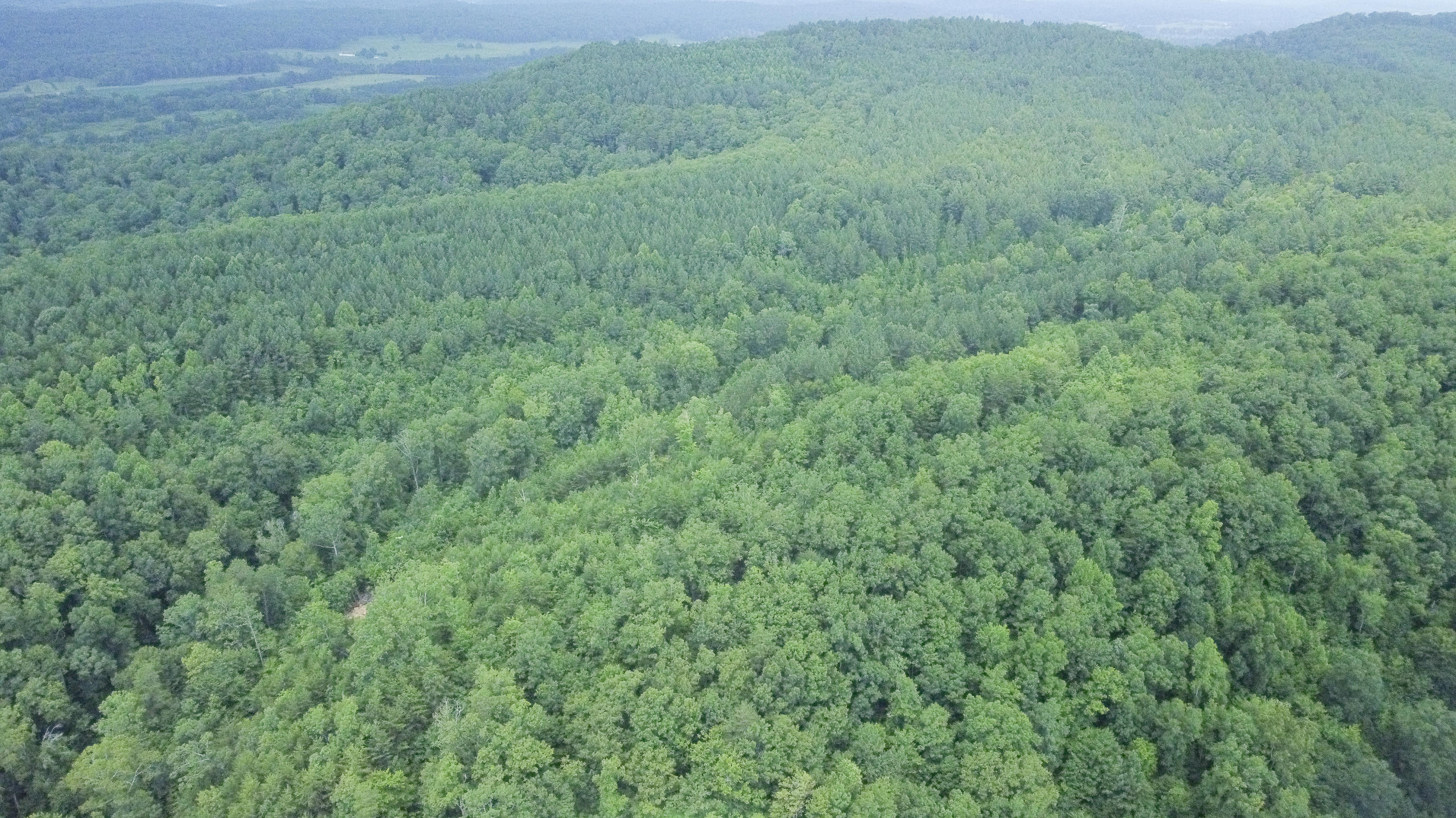 Ten Mile Tn 37880 Road Ten Mile, TN 37880 - Photo 14 of 26 DJI_0327