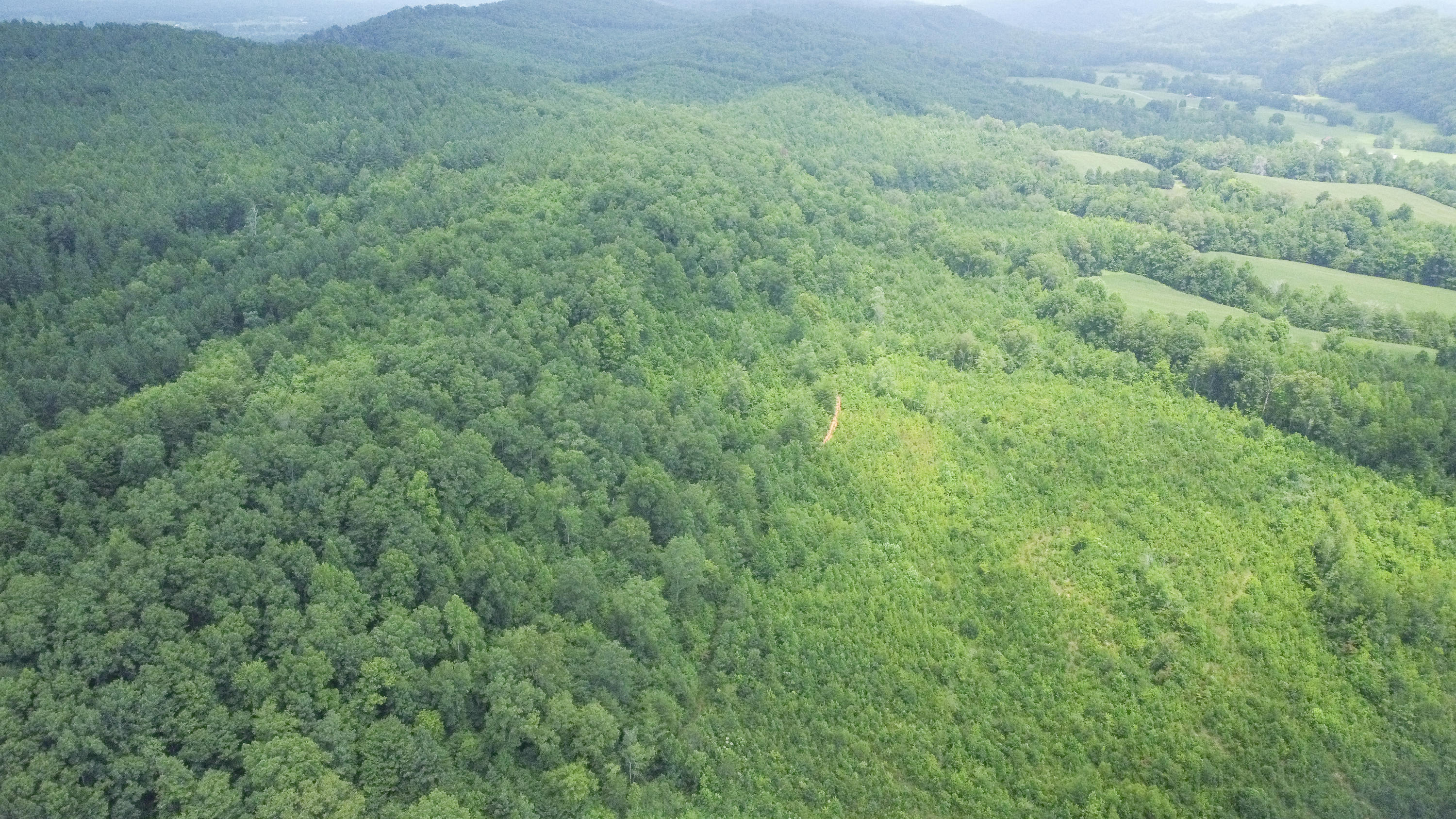 Ten Mile Tn 37880 Road Ten Mile, TN 37880 - Photo 15 of 26 DJI_0328