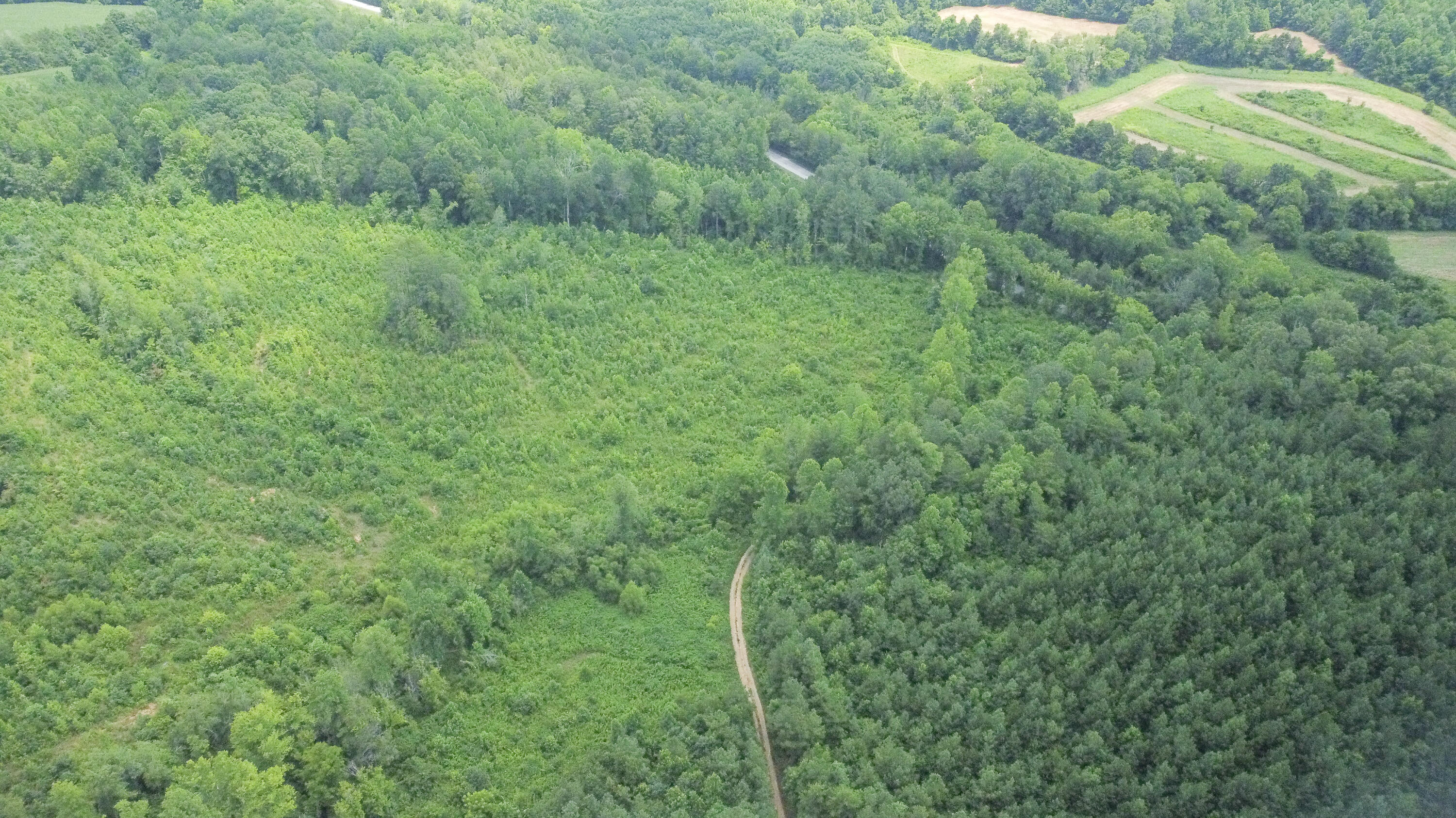 Ten Mile Tn 37880 Road Ten Mile, TN 37880 - Photo 16 of 26 DJI_0330
