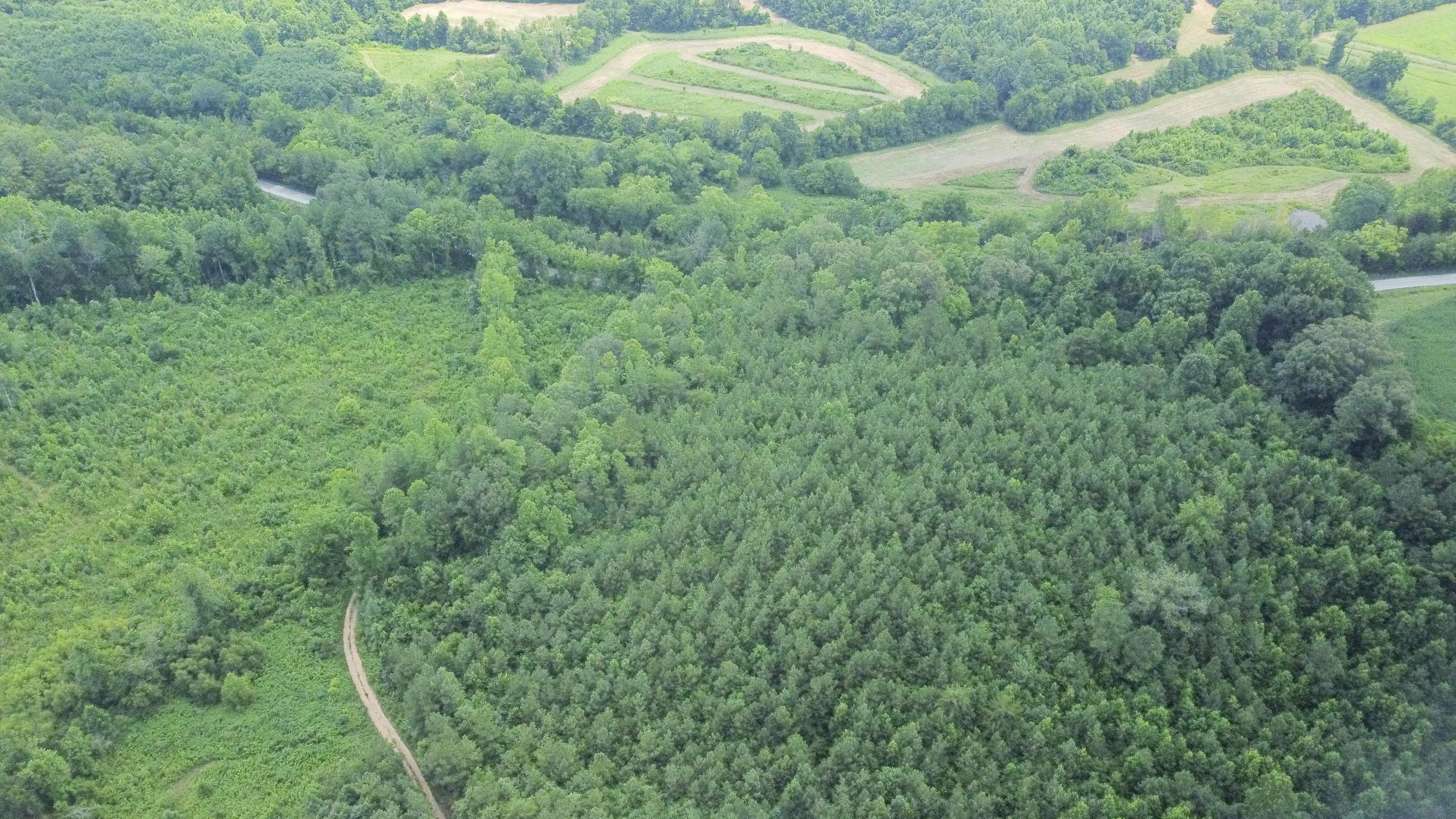Ten Mile Tn 37880 Road Ten Mile, TN 37880 - Photo 17 of 26 DJI_0331