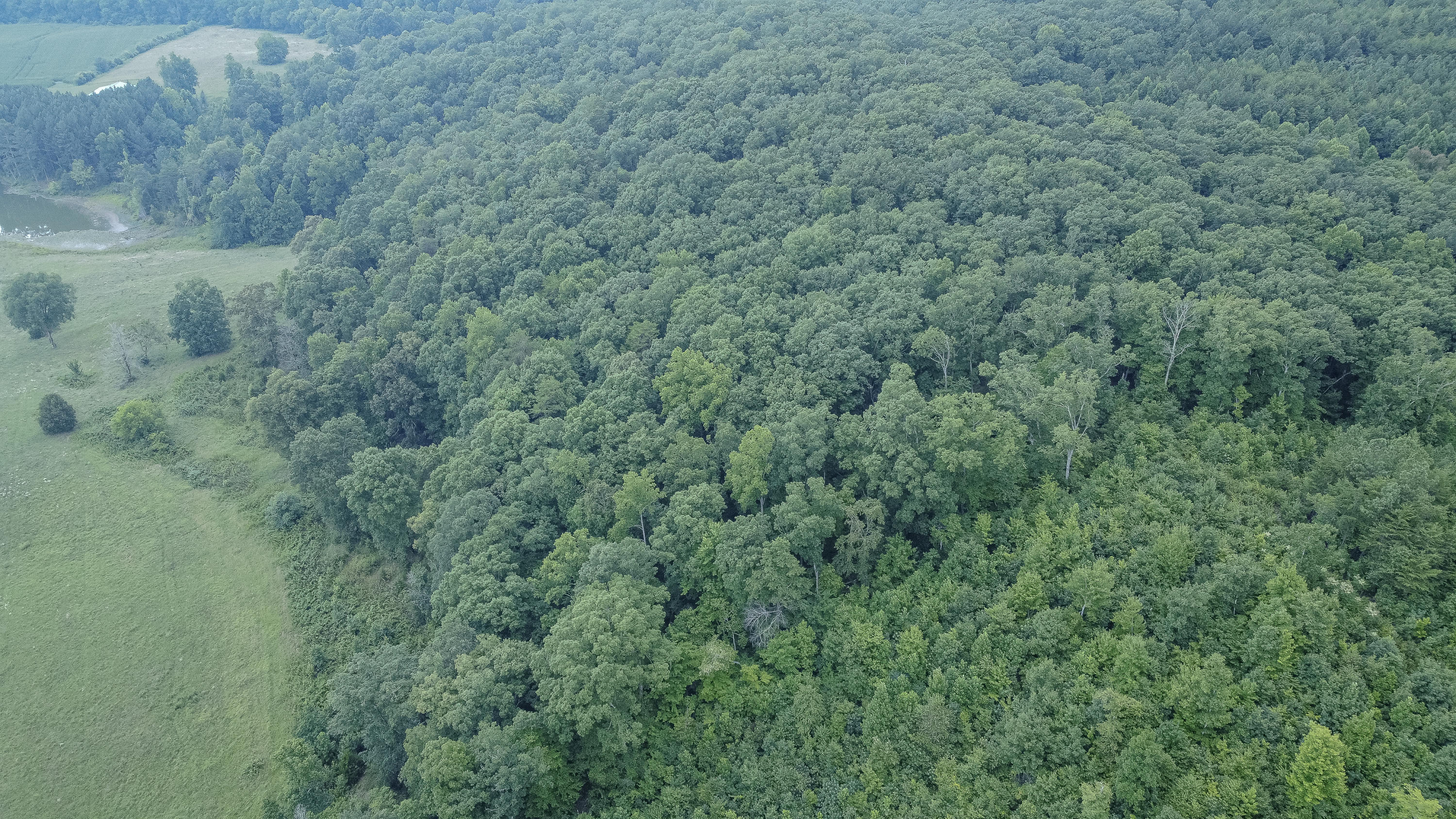 Ten Mile Tn 37880 Road Ten Mile, TN 37880 - Photo 18 of 26 DJI_0332