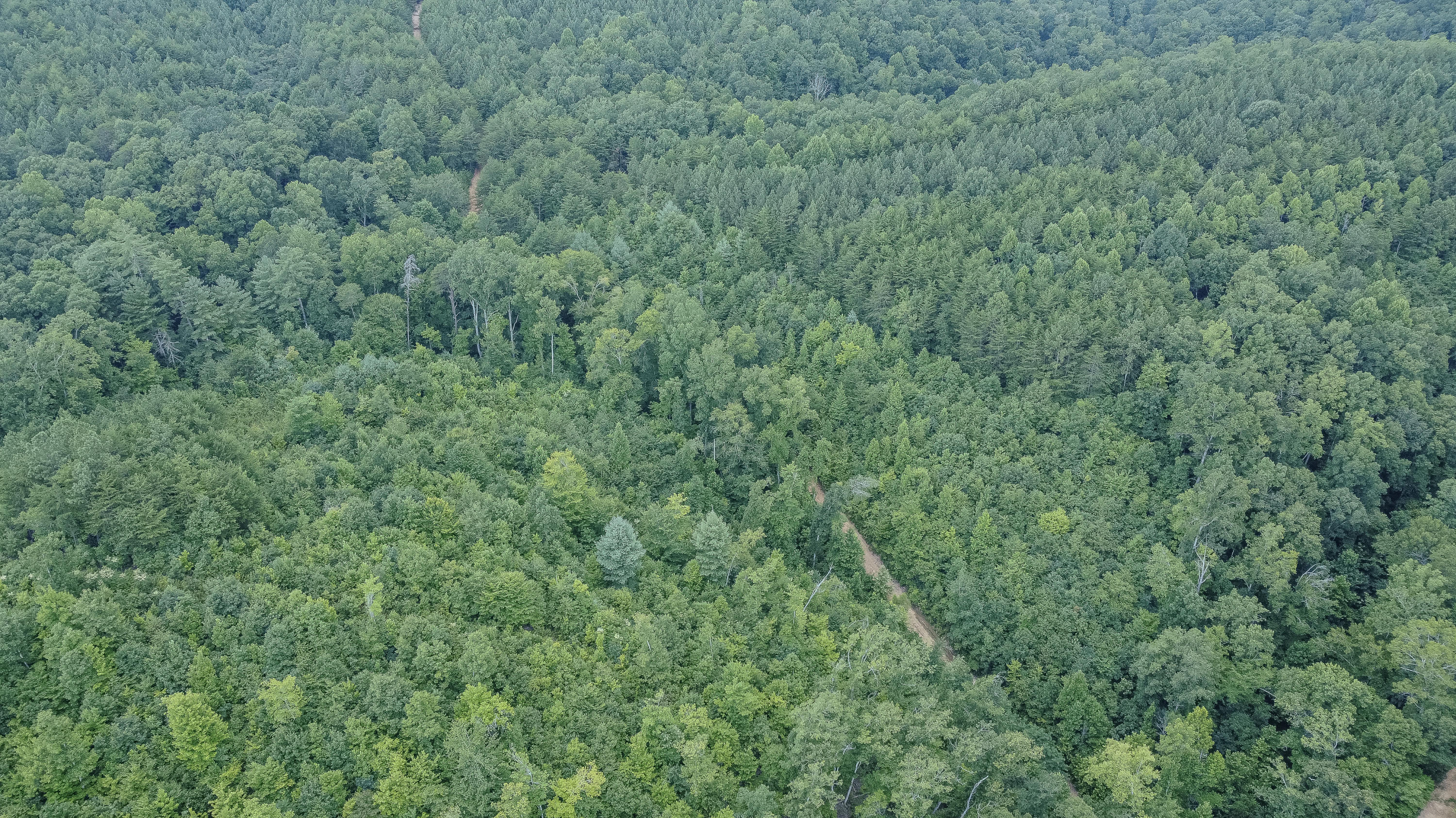 Ten Mile Tn 37880 Road Ten Mile, TN 37880 - Photo 20 of 26 DJI_0334