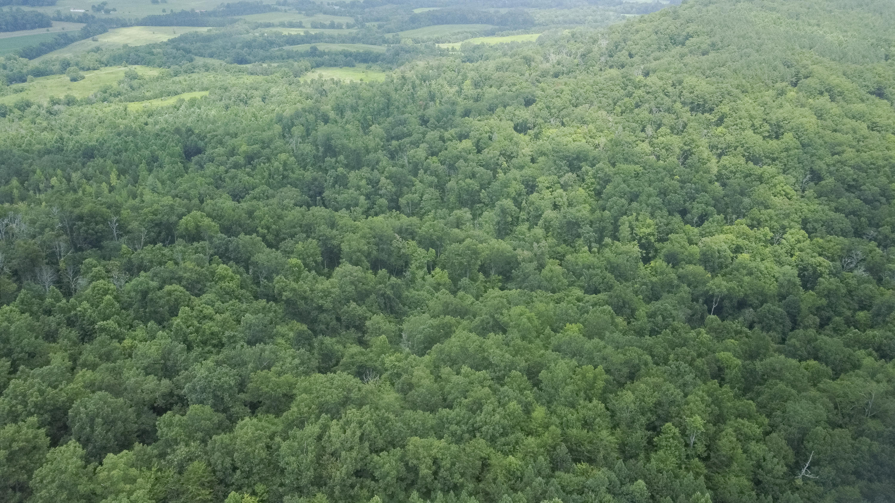 Ten Mile Tn 37880 Road Ten Mile, TN 37880 - Photo 3 of 26 DJI_0315