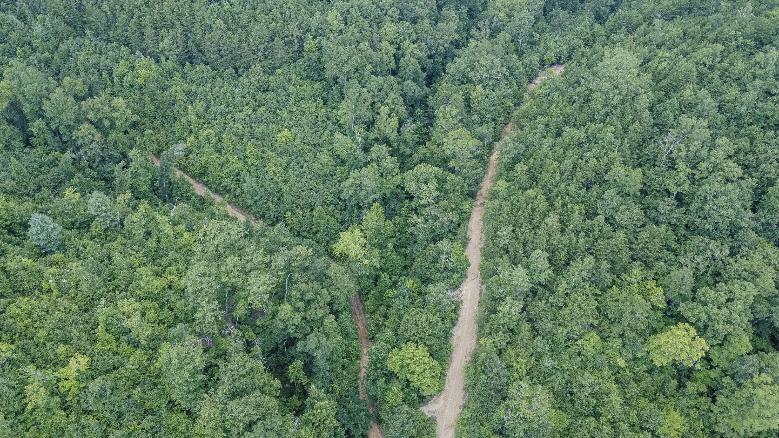 Ten Mile Tn 37880 Road Ten Mile, TN 37880 - Photo 21 of 26 DJI_0335