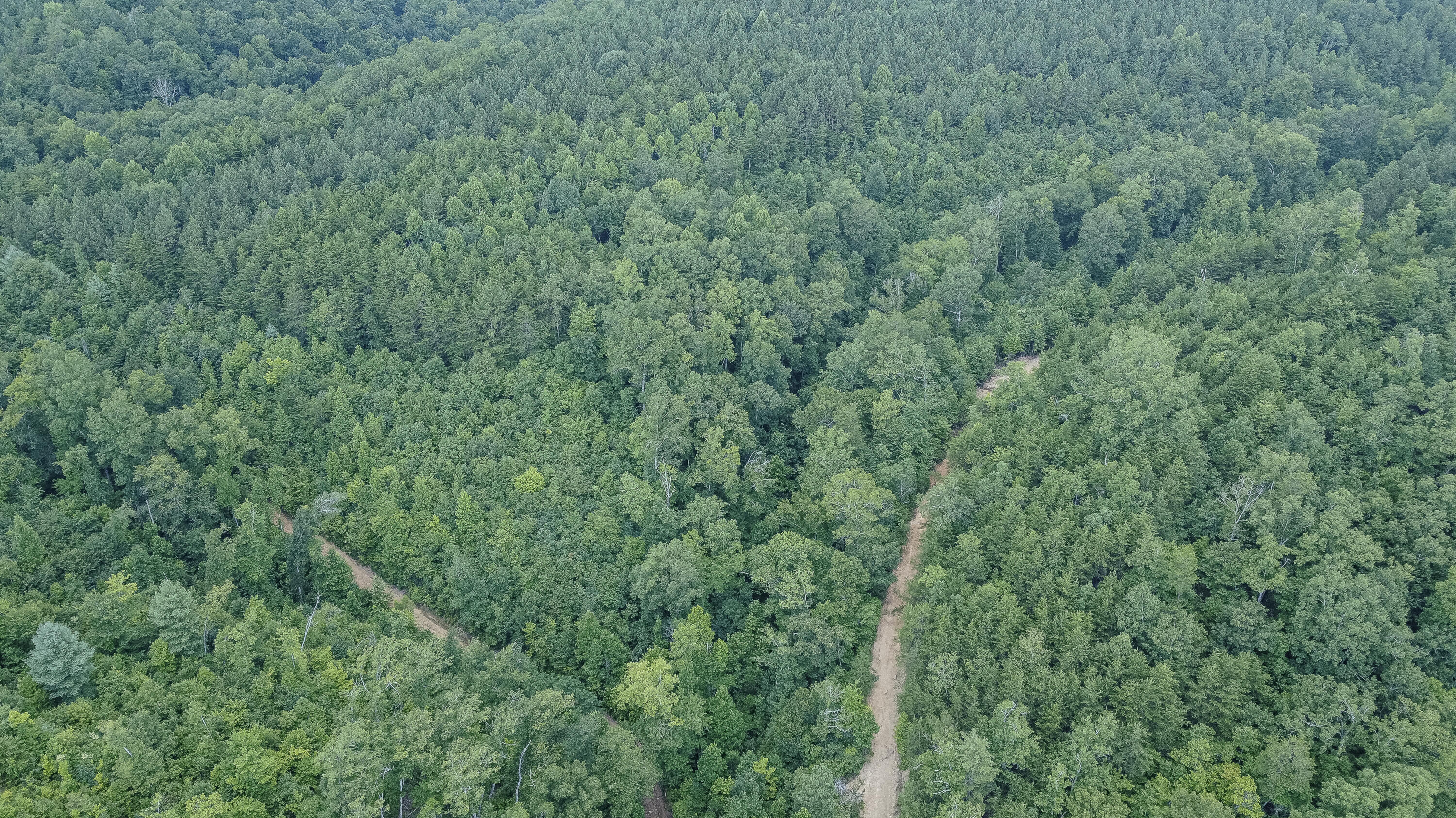 Ten Mile Tn 37880 Road Ten Mile, TN 37880 - Photo 22 of 26 DJI_0336