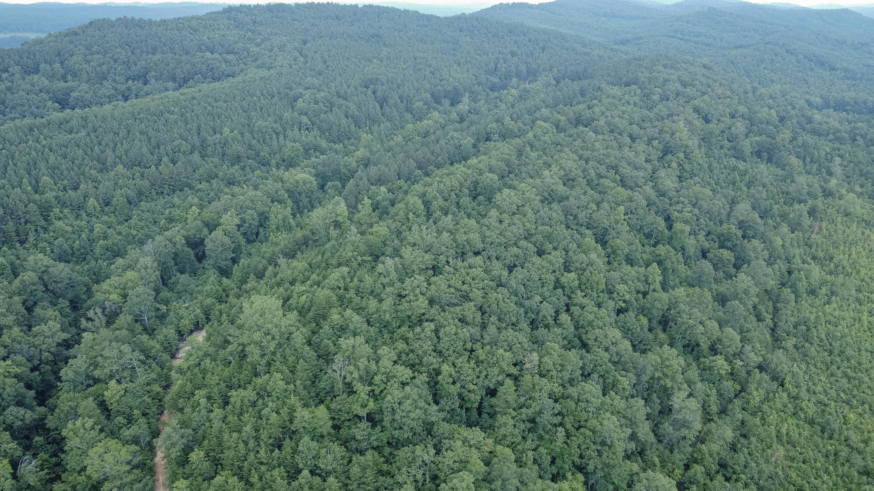 Ten Mile Tn 37880 Road Ten Mile, TN 37880 - Photo 23 of 26 DJI_0337