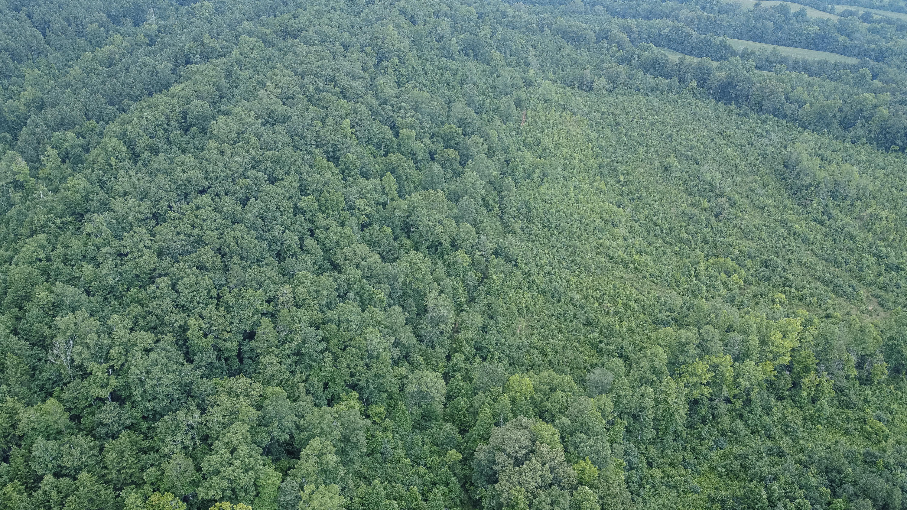 Ten Mile Tn 37880 Road Ten Mile, TN 37880 - Photo 24 of 26 DJI_0338