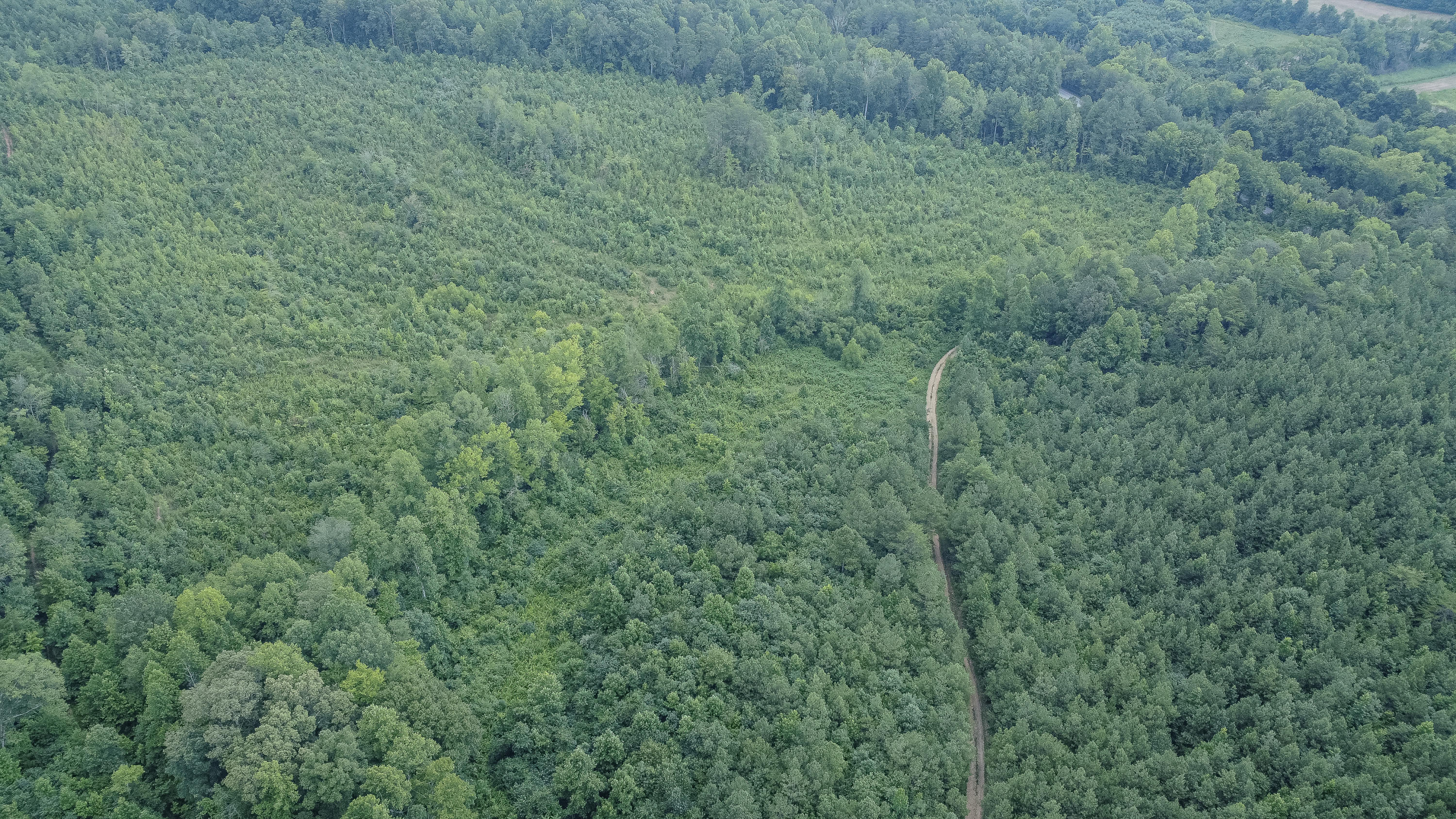 Ten Mile Tn 37880 Road Ten Mile, TN 37880 - Photo 25 of 26 DJI_0339