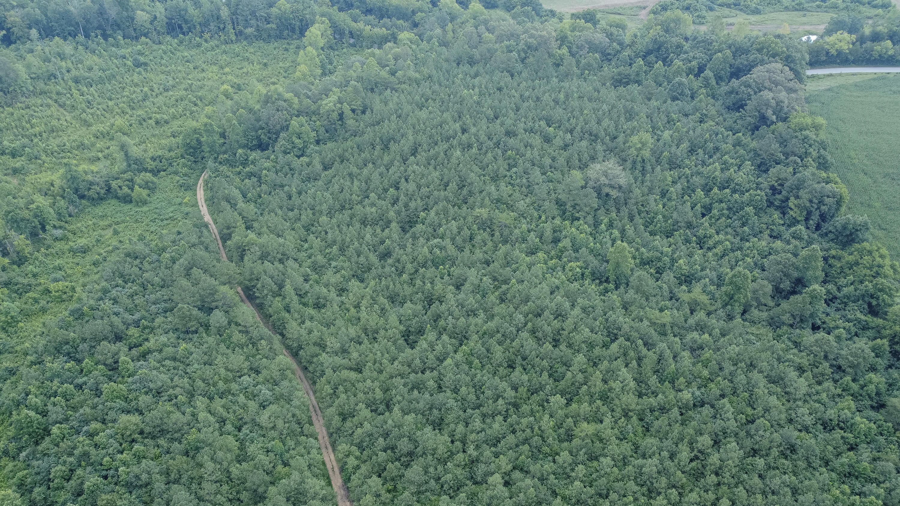 Ten Mile Tn 37880 Road Ten Mile, TN 37880 - Photo 26 of 26 DJI_0340