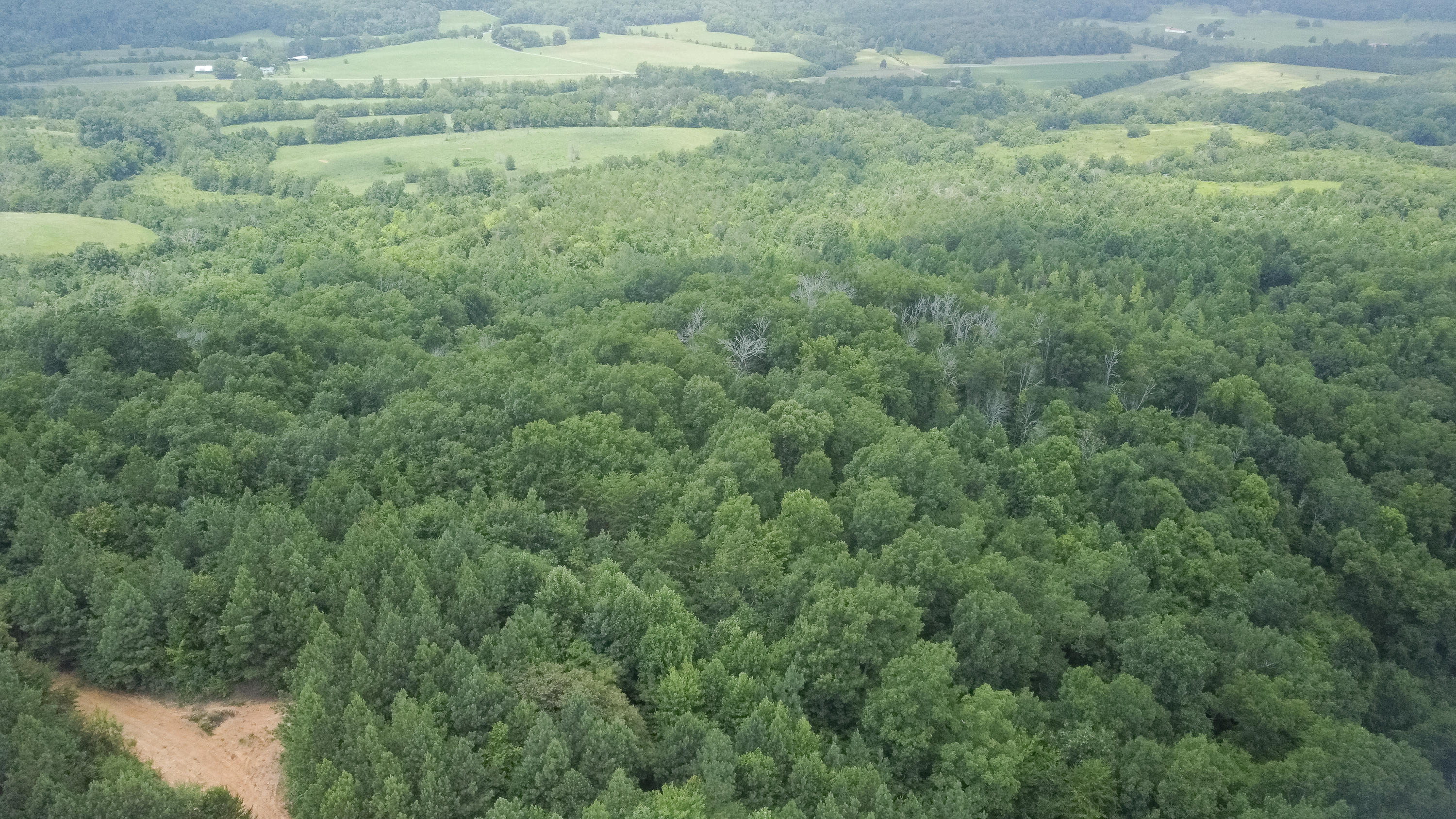 Ten Mile Tn 37880 Road Ten Mile, TN 37880 - Photo 4 of 26 DJI_0316