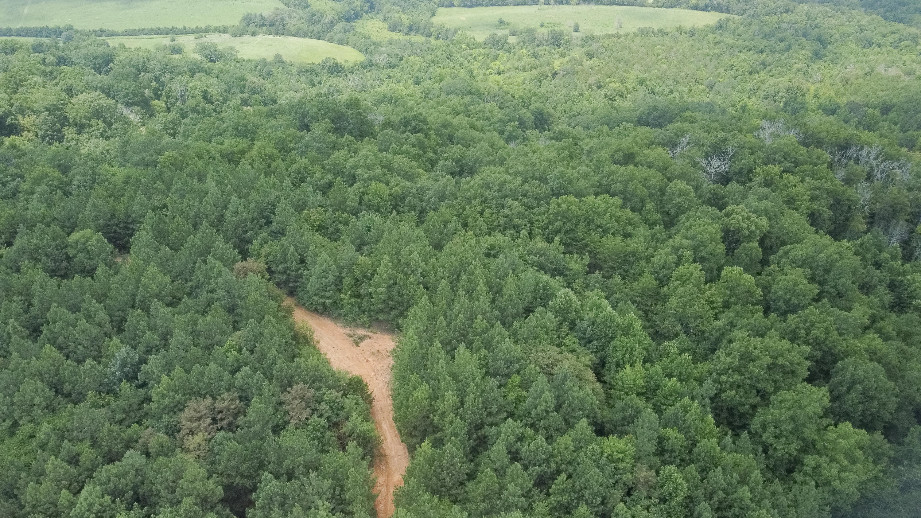 Ten Mile Tn 37880 Road Ten Mile, TN 37880 - Photo 5 of 26 DJI_0317