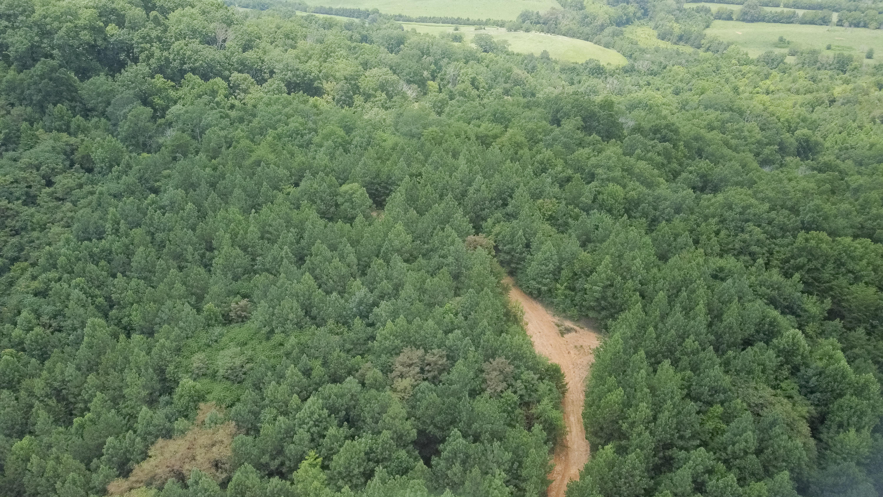 Ten Mile Tn 37880 Road Ten Mile, TN 37880 - Photo 6 of 26 DJI_0318