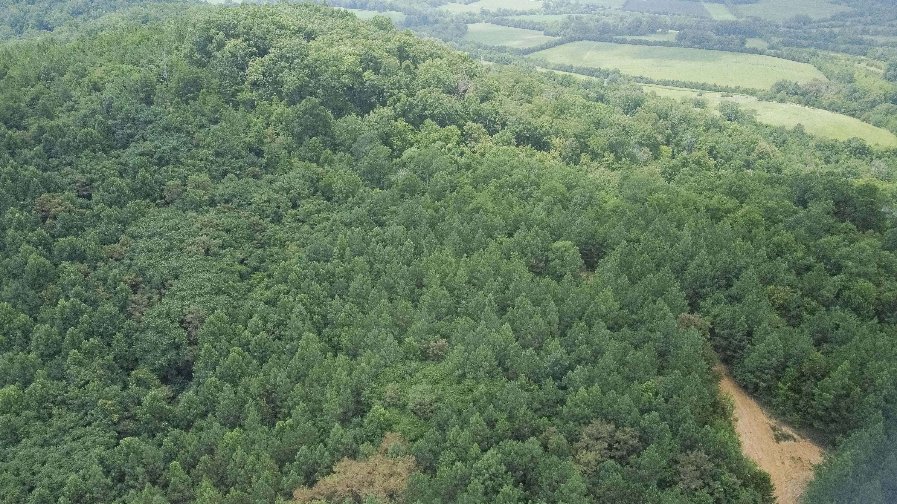 Ten Mile Tn 37880 Road Ten Mile, TN 37880 - Photo 7 of 26 DJI_0319