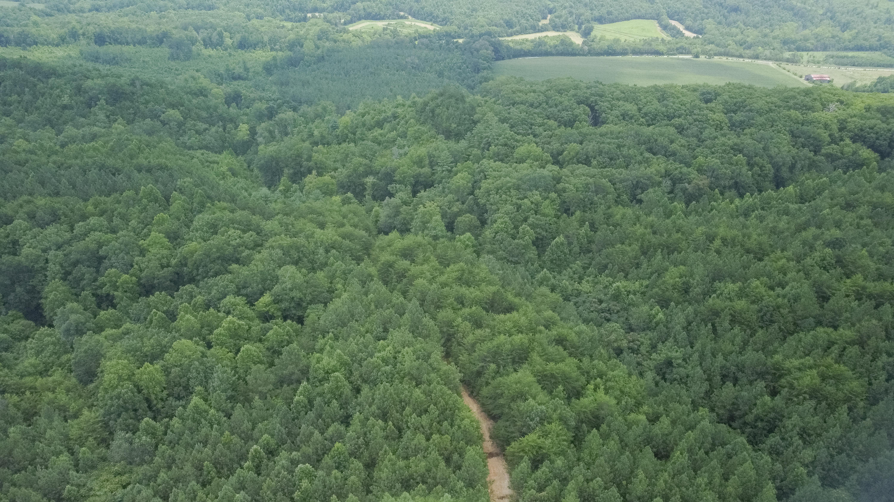 Ten Mile Tn 37880 Road Ten Mile, TN 37880 - Photo 8 of 26 DJI_0320