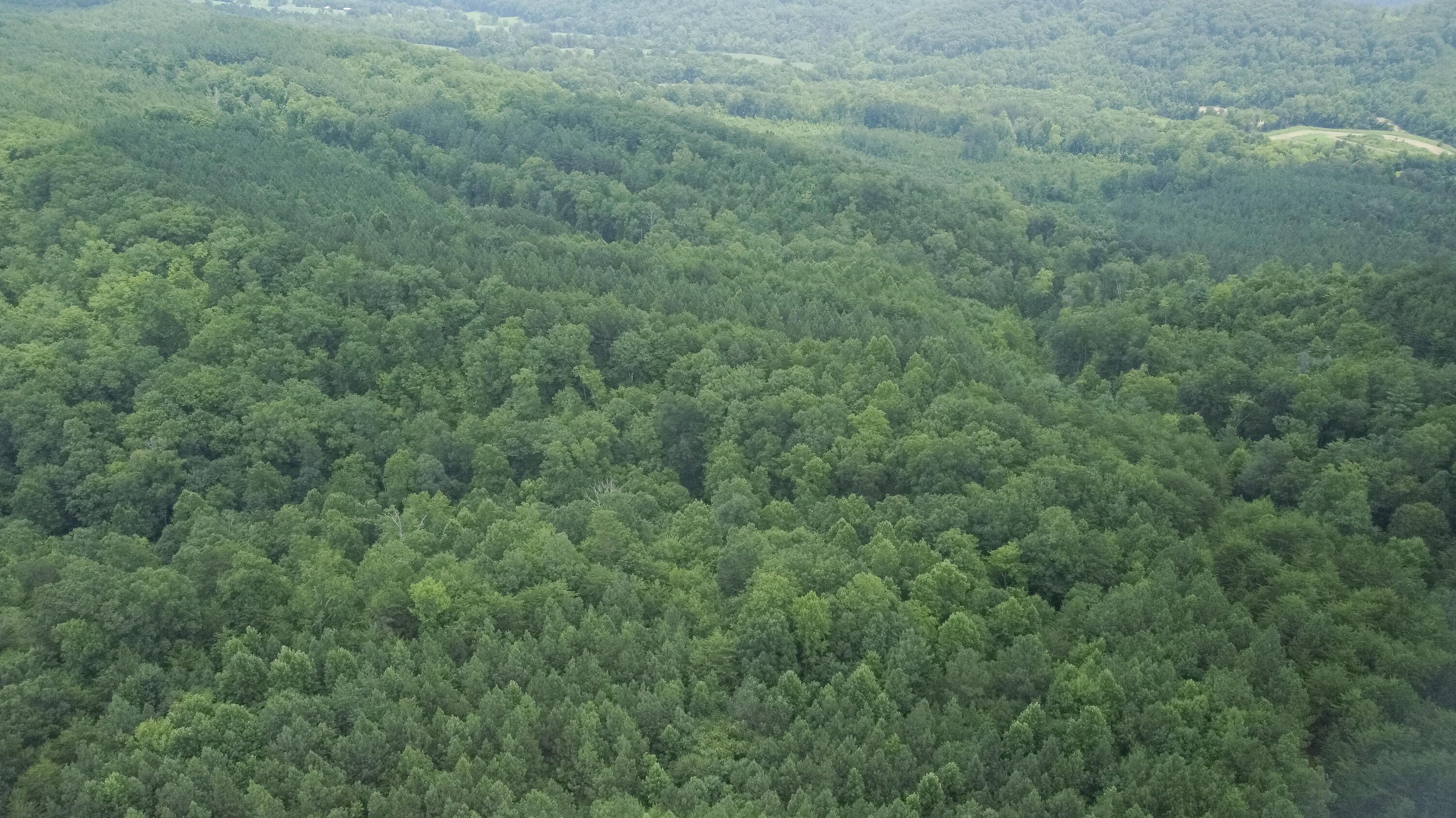 Ten Mile Tn 37880 Road Ten Mile, TN 37880 - Photo 9 of 26 DJI_0321