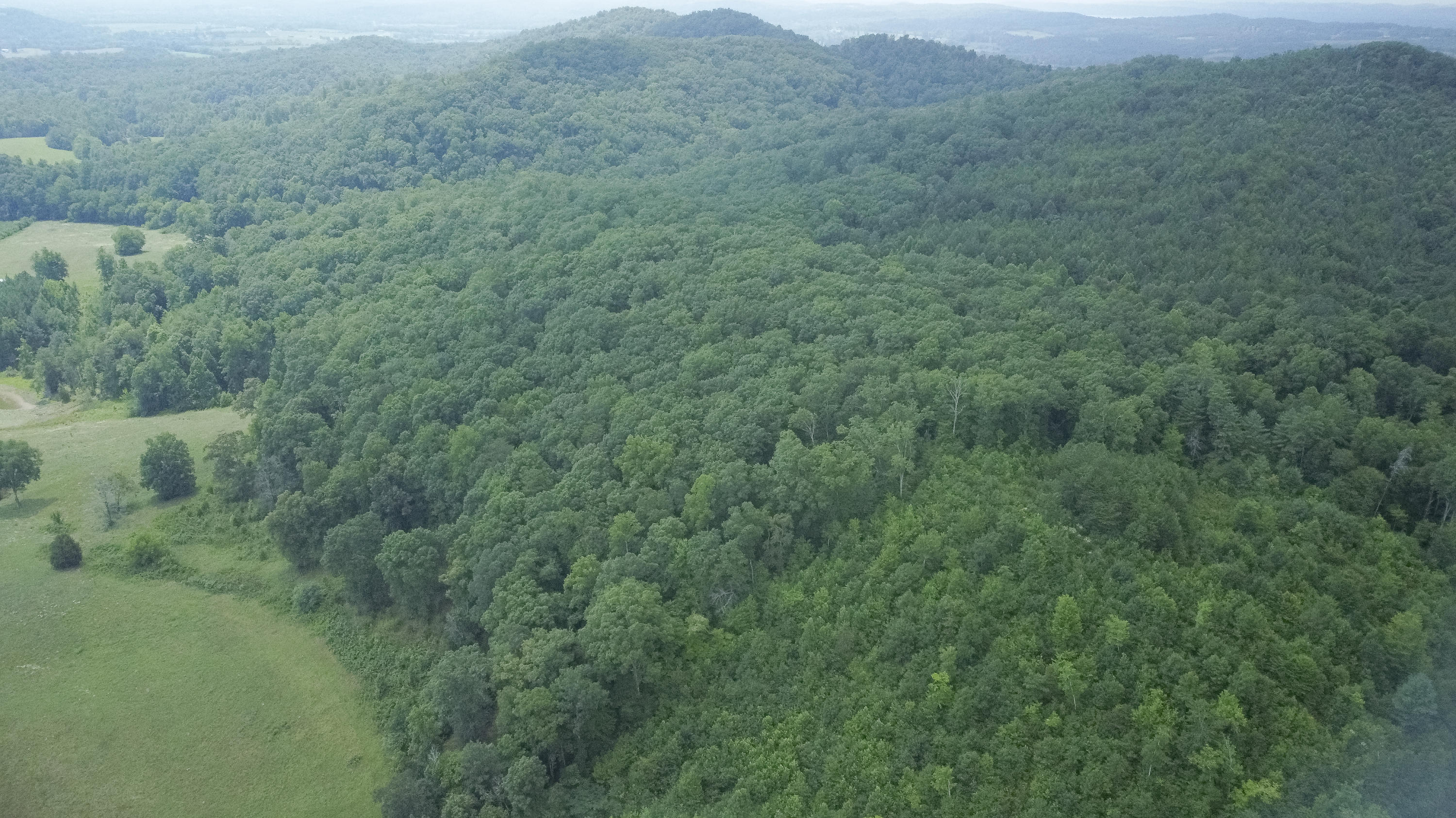 Ten Mile Tn 37880 Road Ten Mile, TN 37880 - Photo 10 of 26 DJI_0323