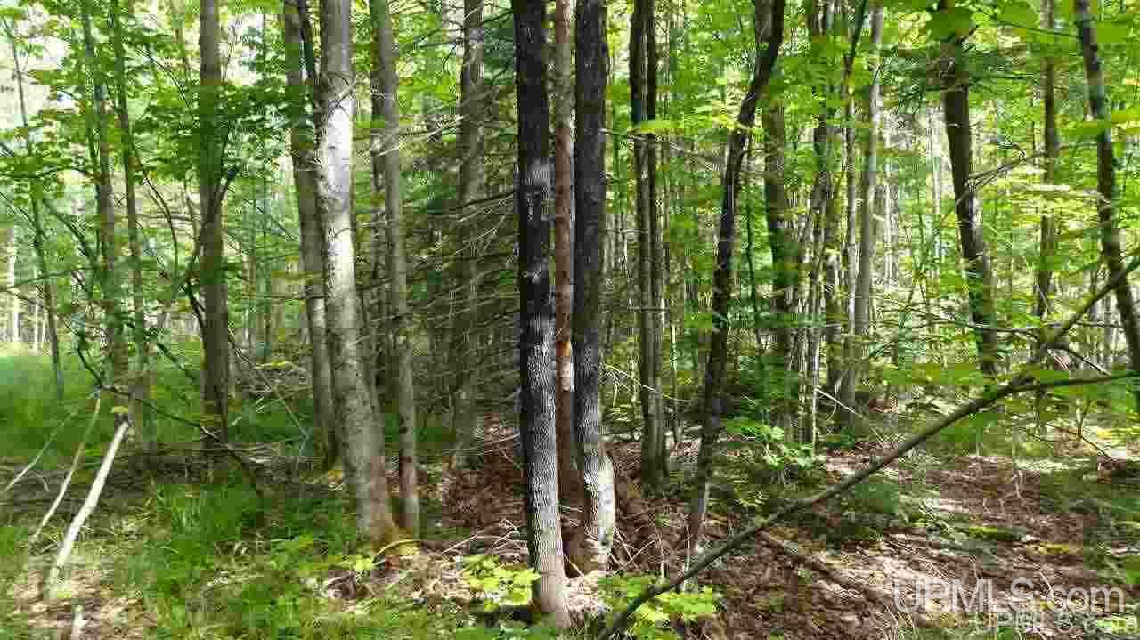 1214 Burning Road Deerton, MI 49822 - Photo 24 of 27
