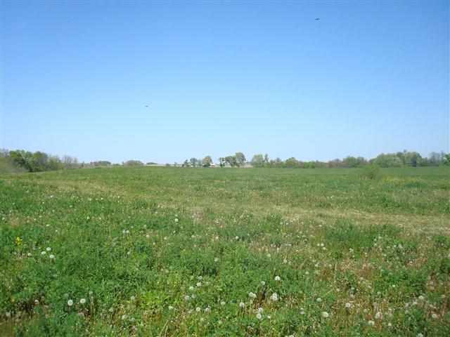 Lot 18 Secluded Ridge Tipton, IA 52772 - Photo 11 of 18 Gallery Image 11