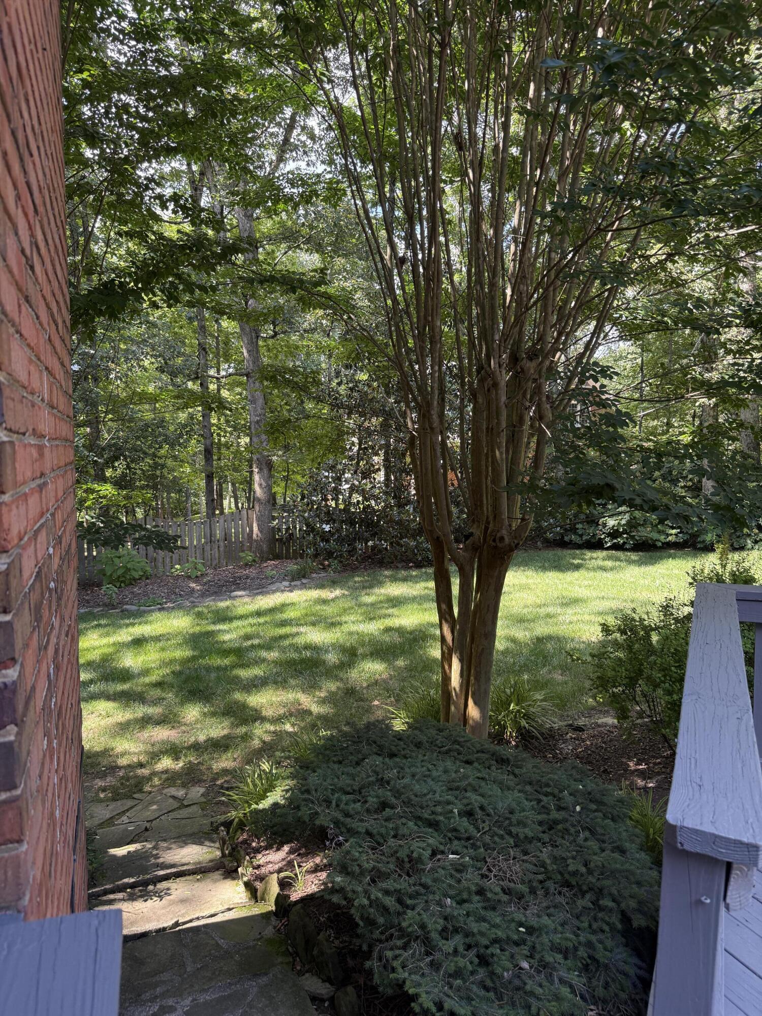 38 Cool Spring Road Signal Mountain, TN 37377 - Photo 6 of 8 Backyard