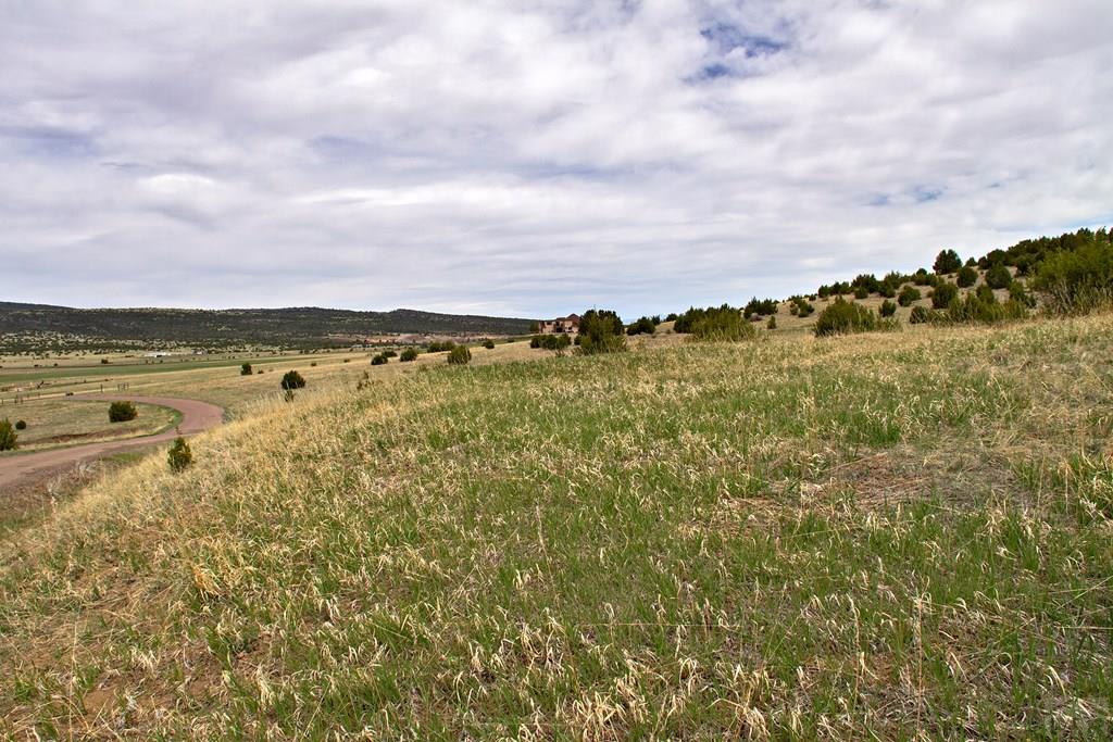 Tbd Garrett Road Beulah, CO 81023 - Photo 13 of 42 Gallery Image 13