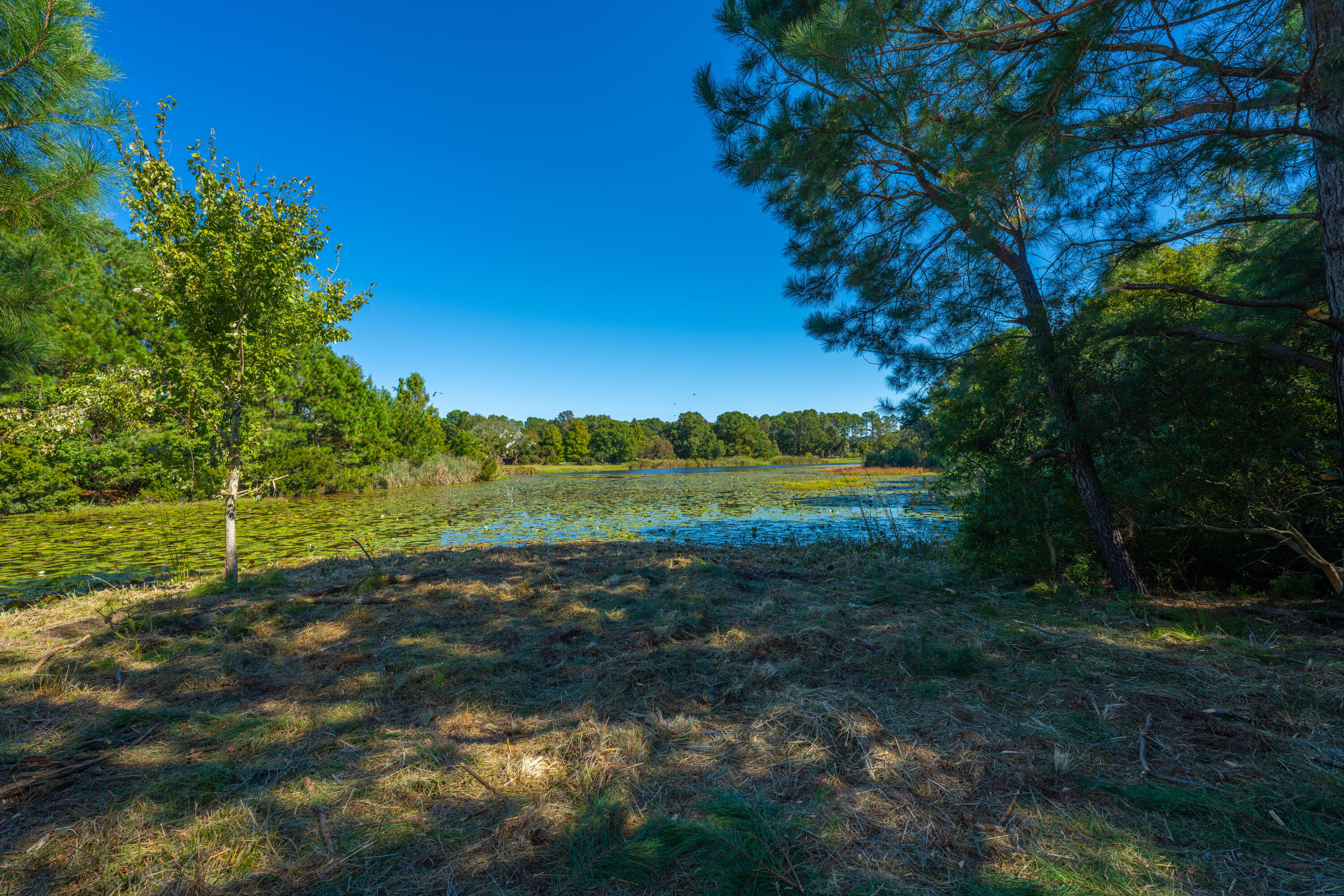 6131 Rudder Lane Awendaw, SC 29429 - Photo 18 of 29 6131RudderLn052